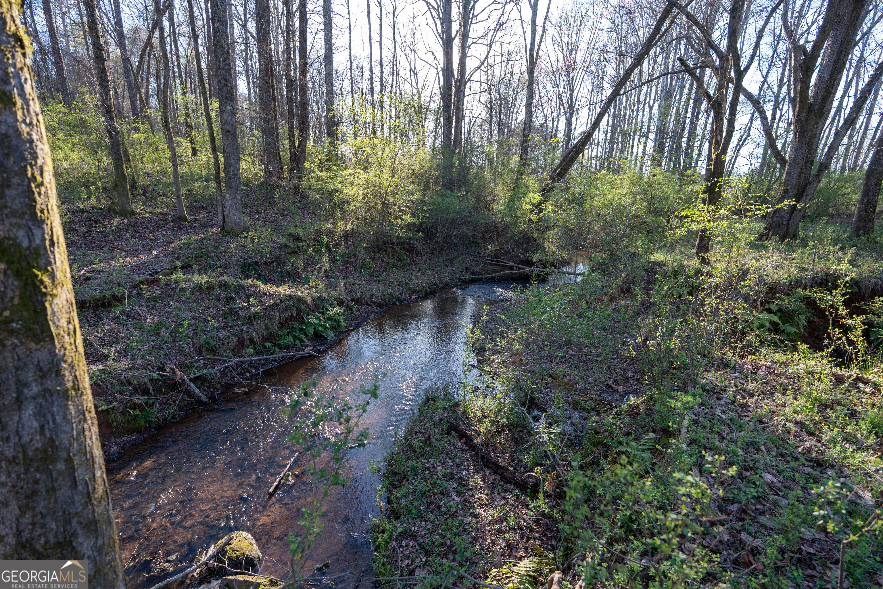 40 Meadow Trail