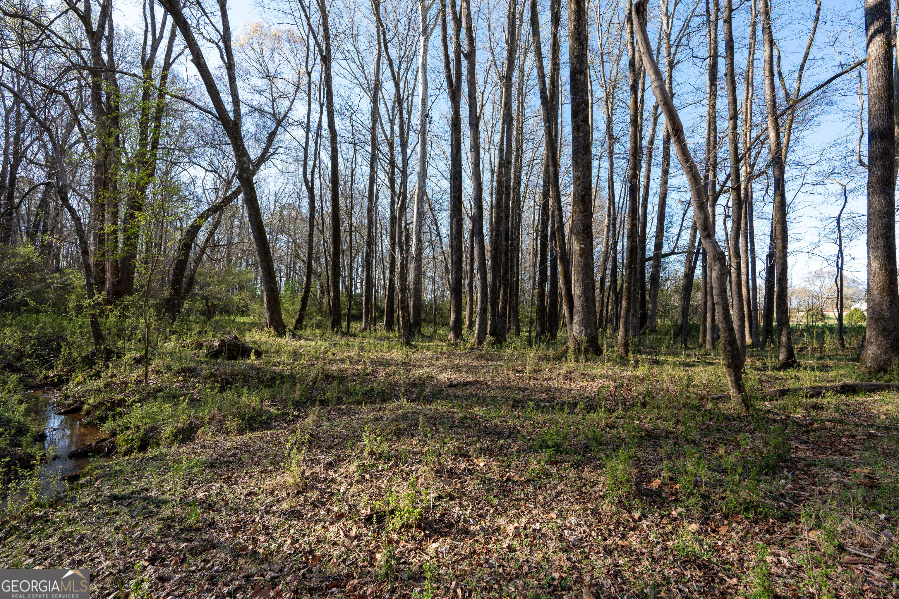 40 Meadow Trail