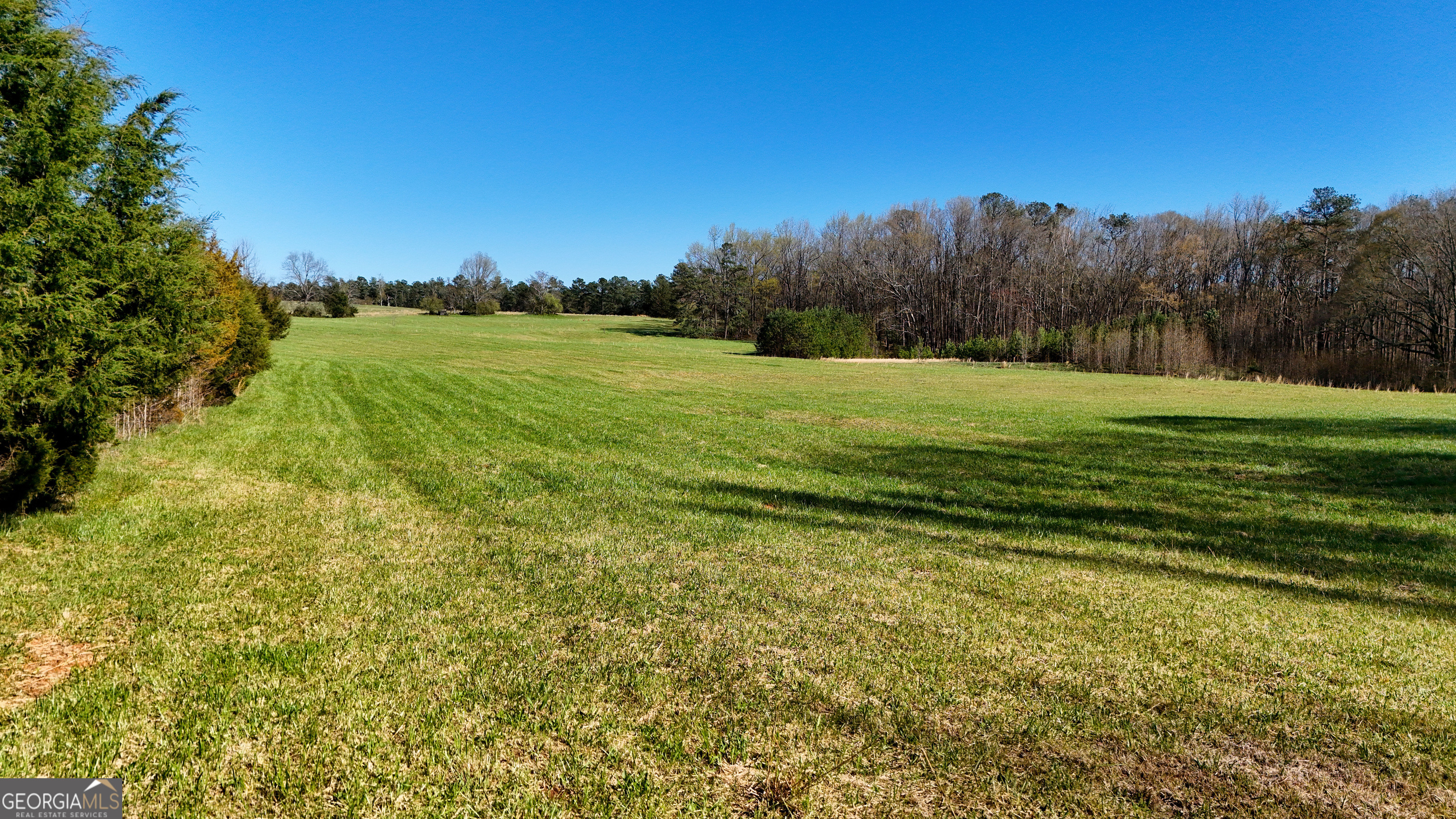 40 Meadow Trail