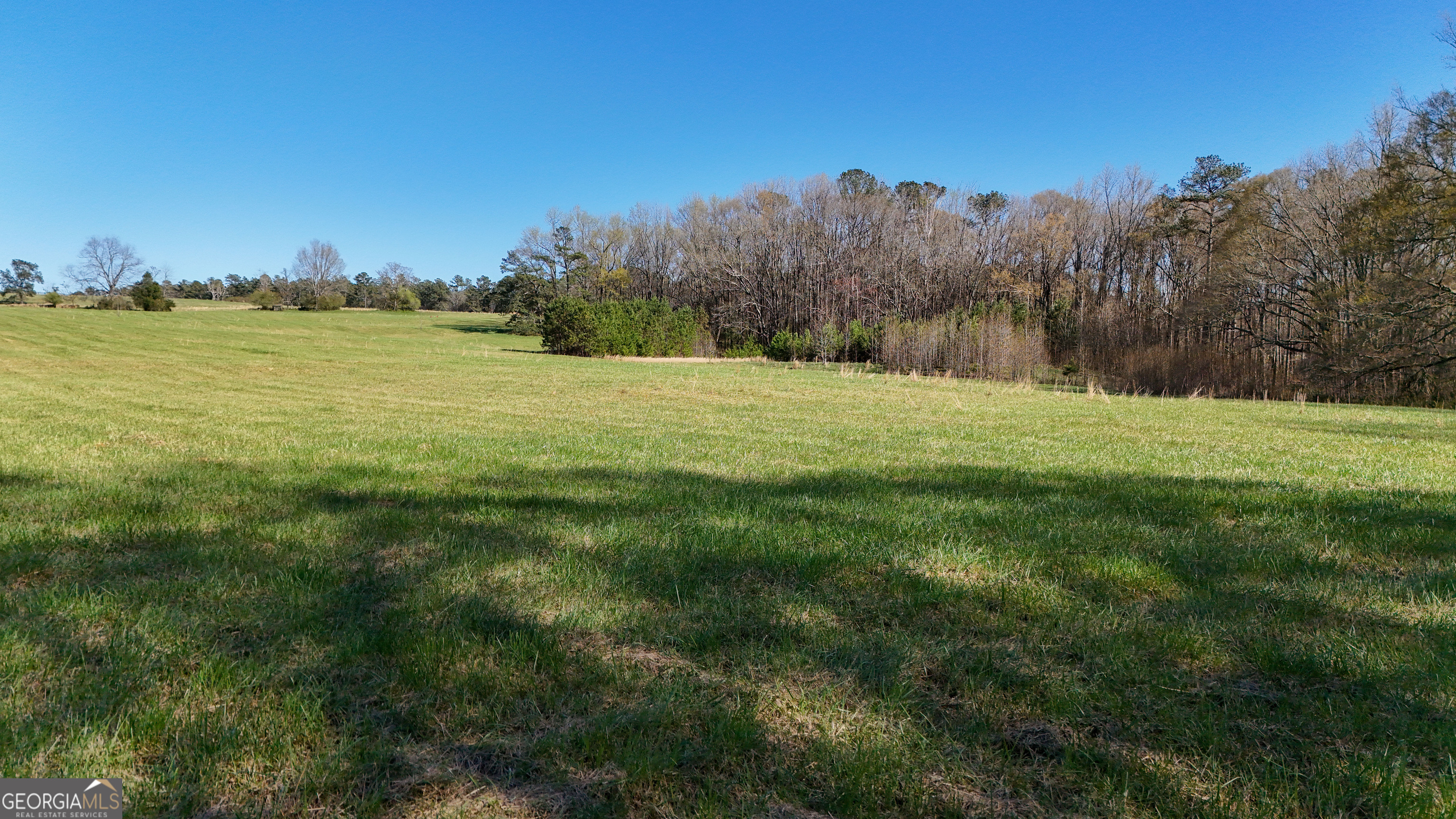 40 Meadow Trail
