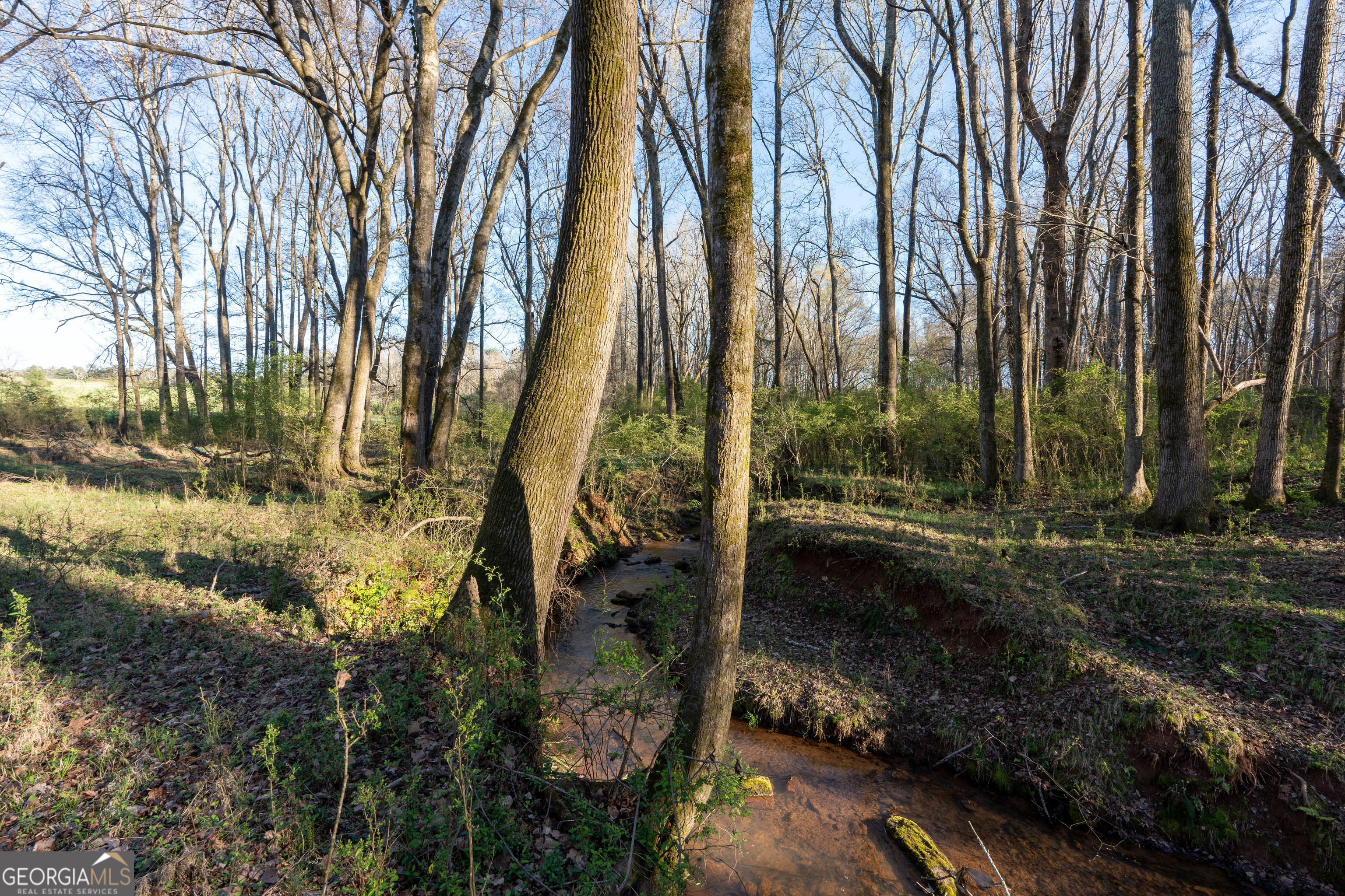 40 Meadow Trail
