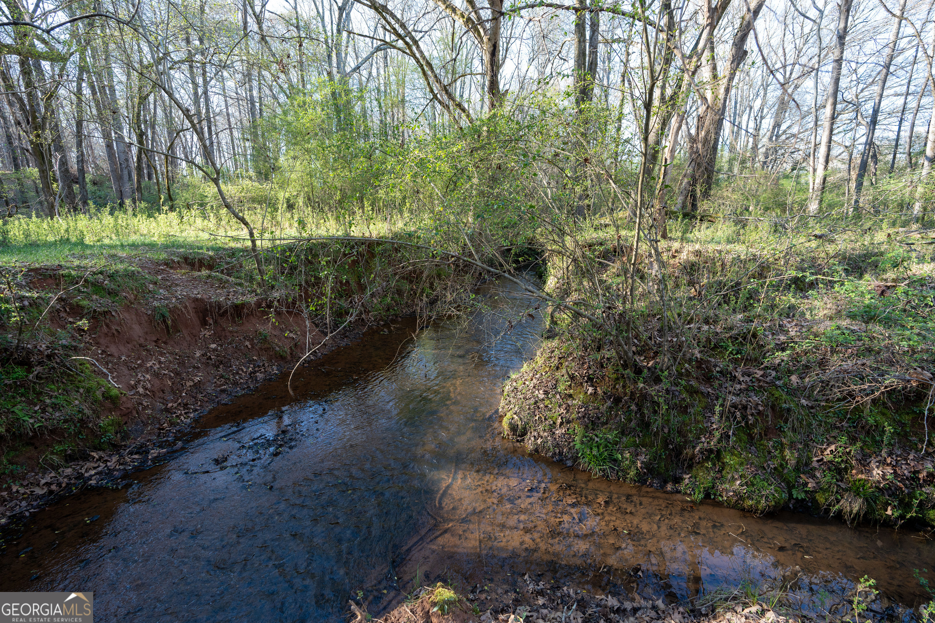 40 Meadow Trail