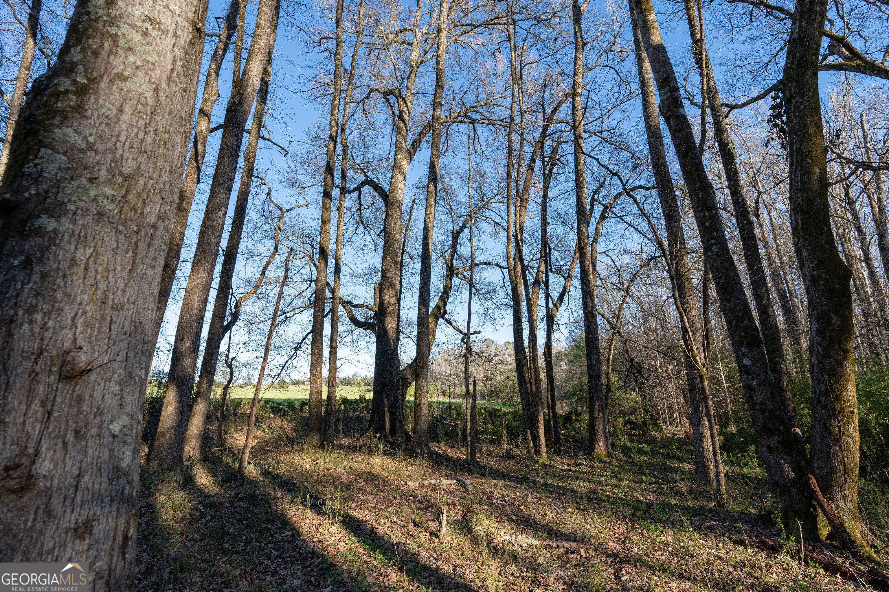 40 Meadow Trail