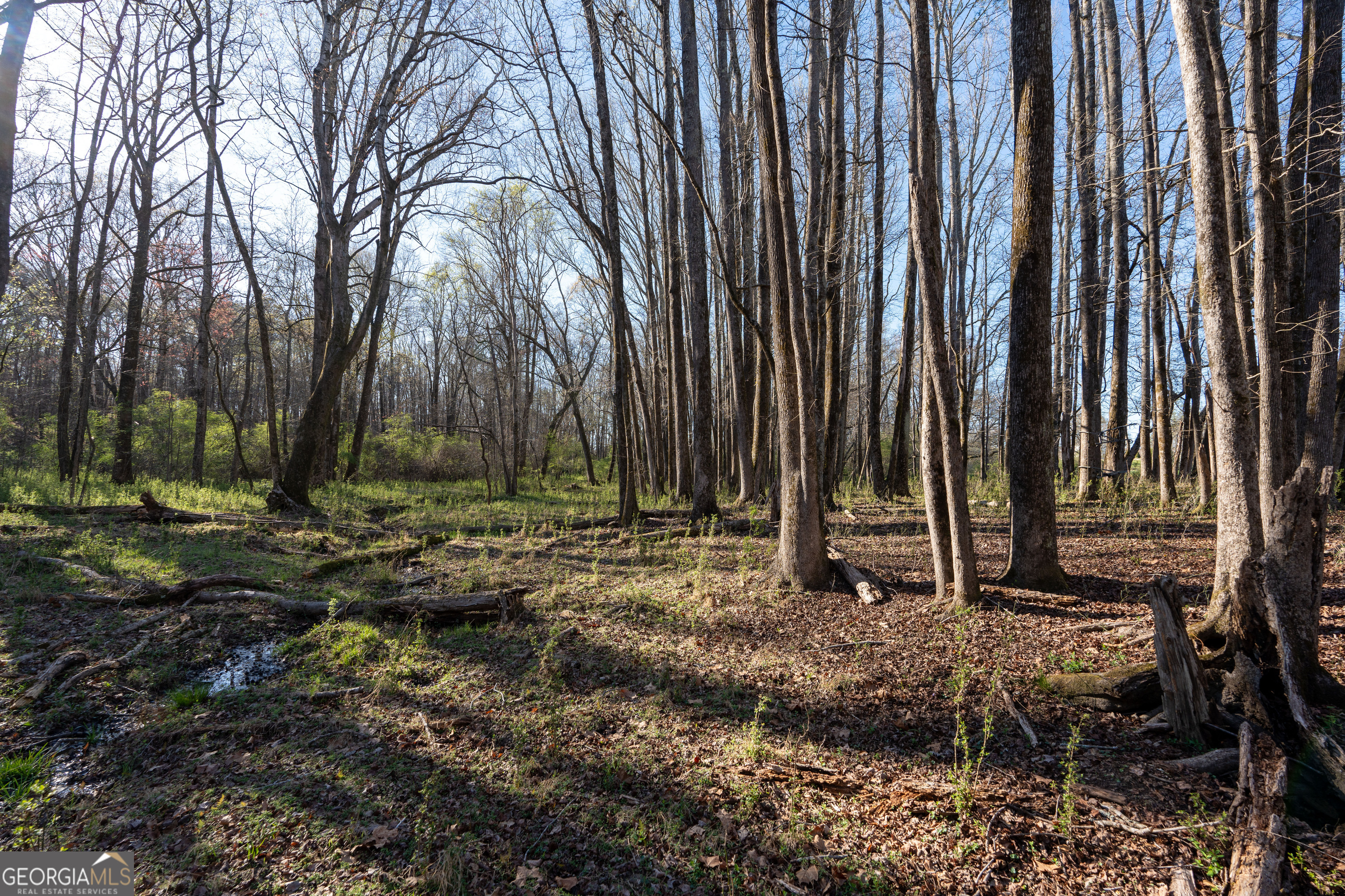 40 Meadow Trail