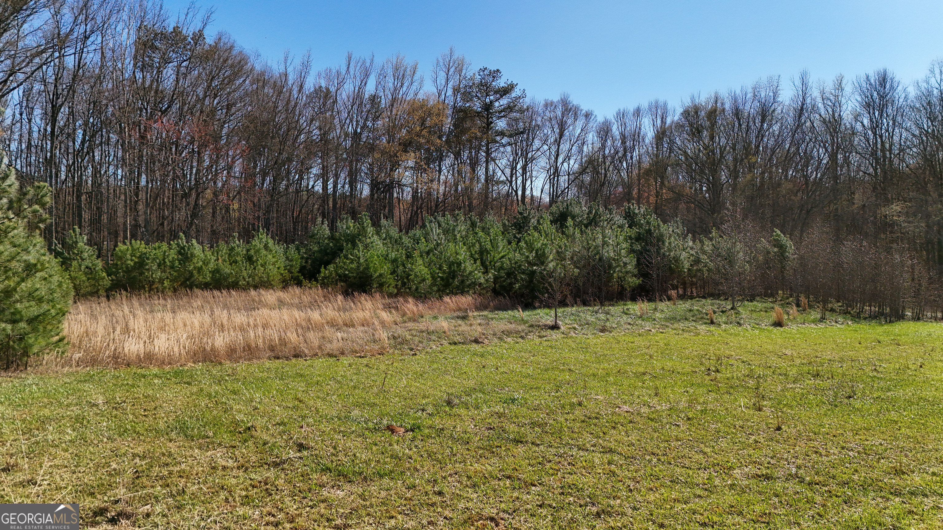 40 Meadow Trail