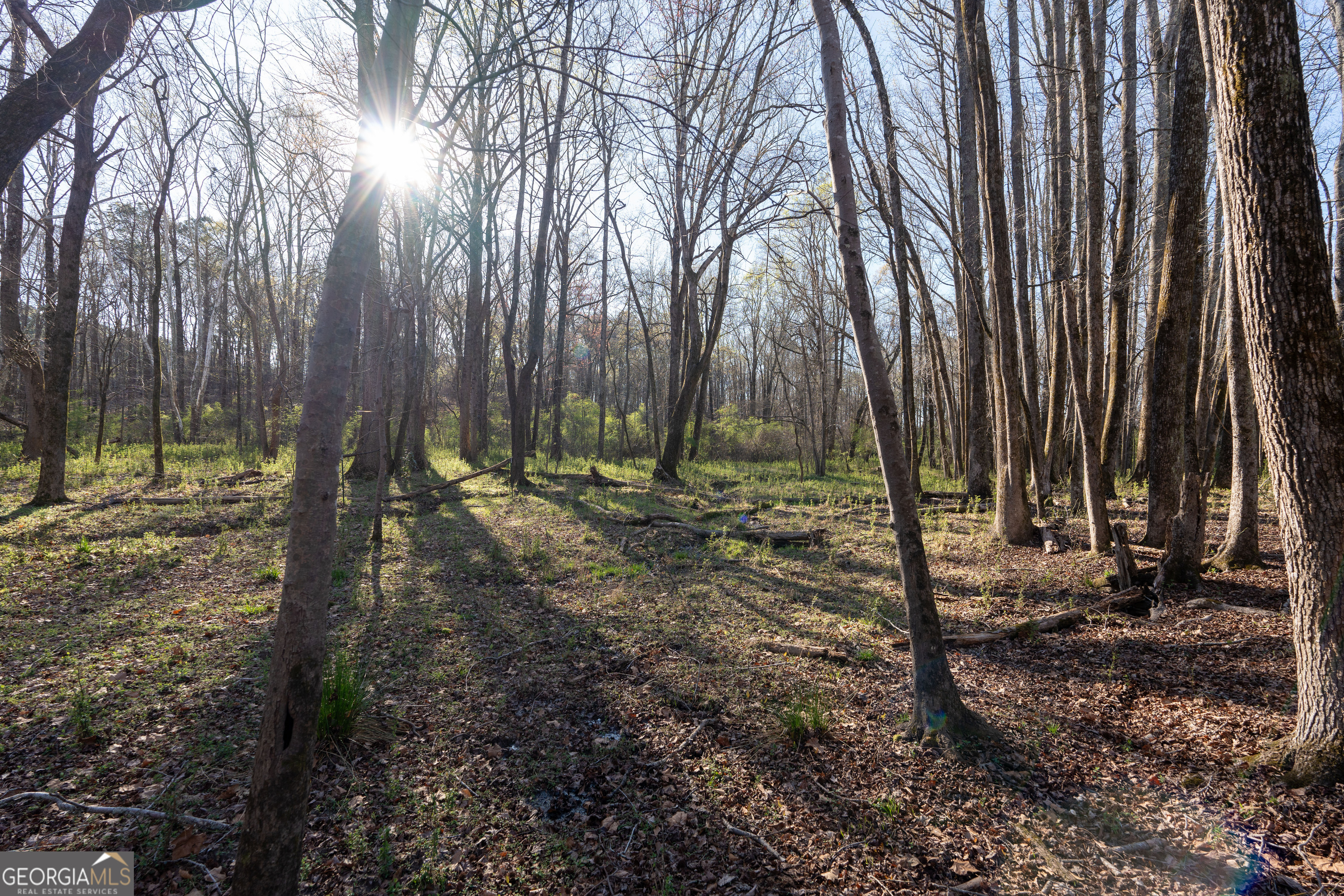 40 Meadow Trail