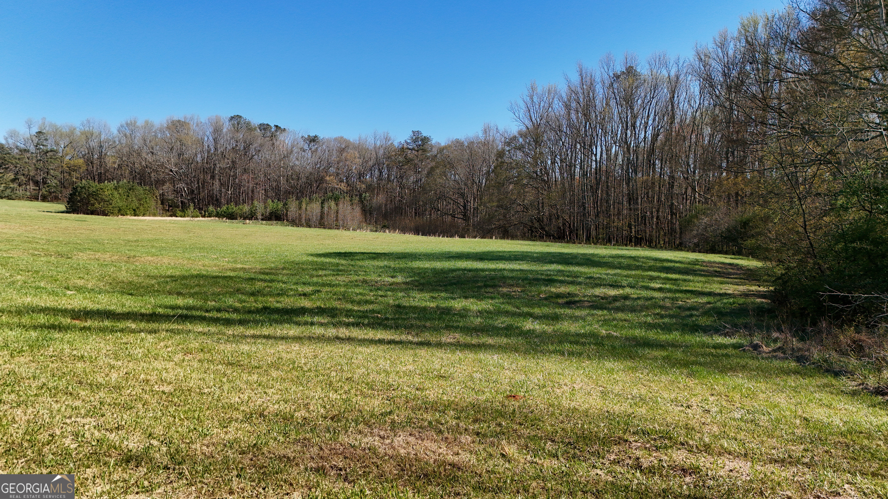 40 Meadow Trail