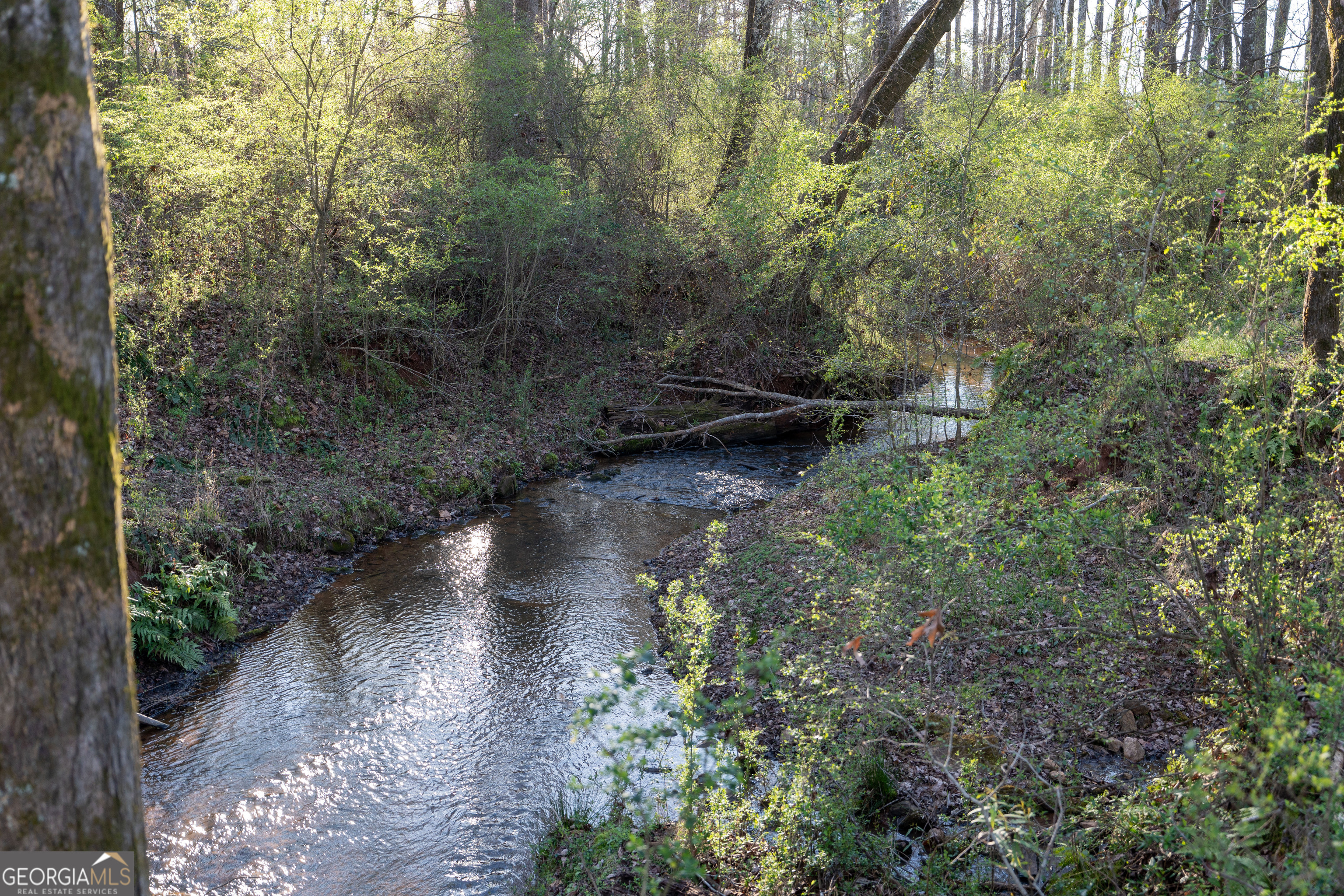 40 Meadow Trail