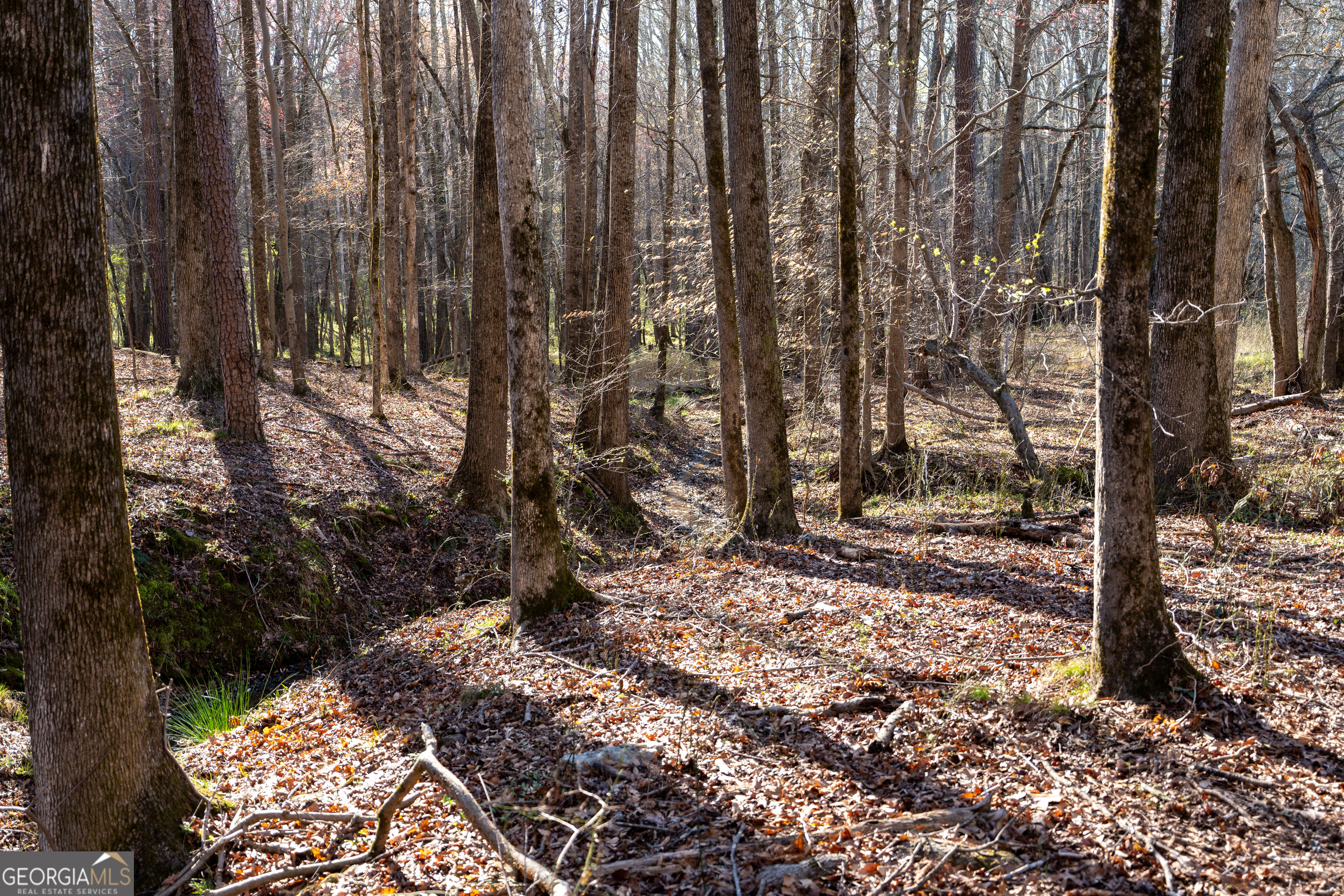 40 Meadow Trail