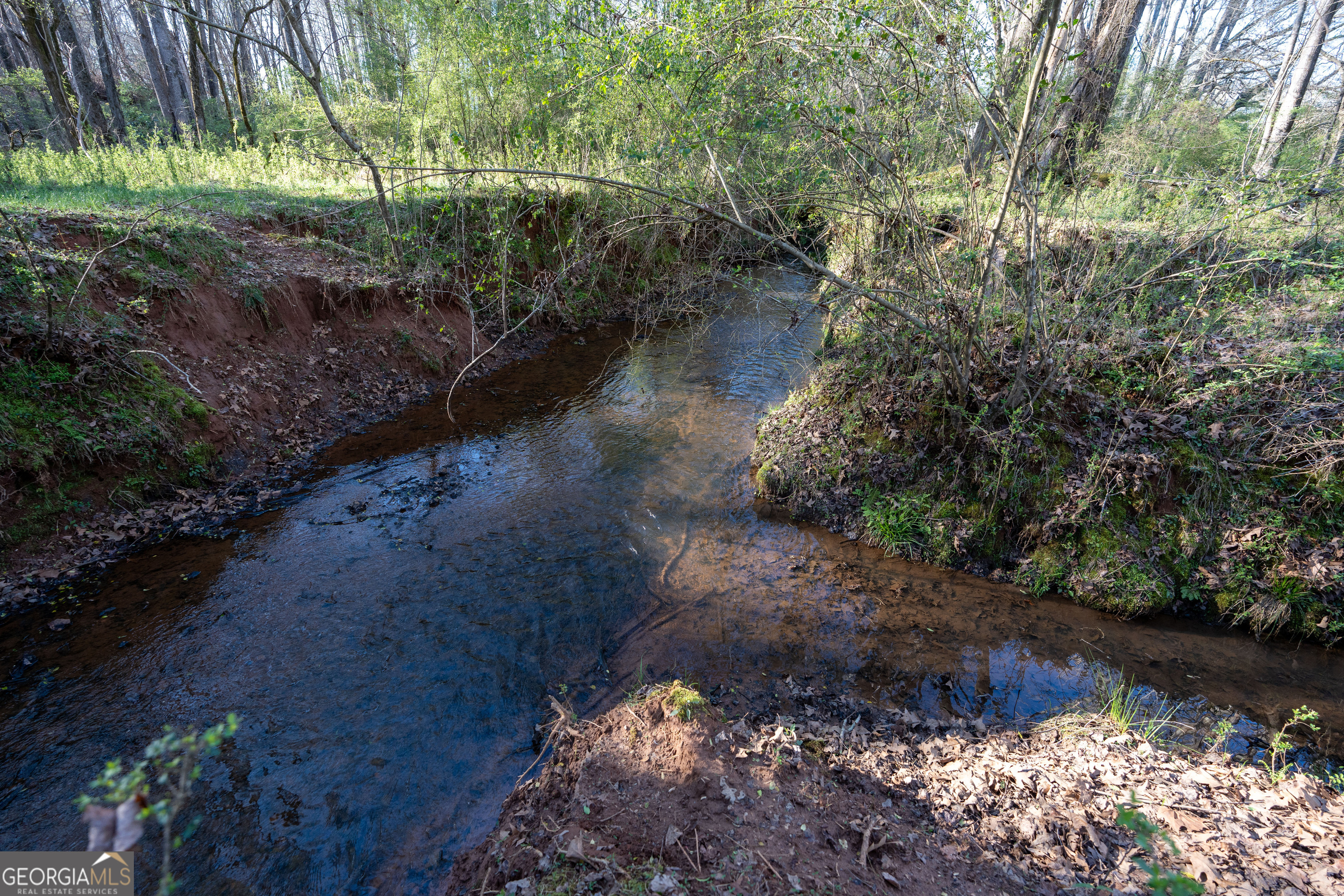 40 Meadow Trail
