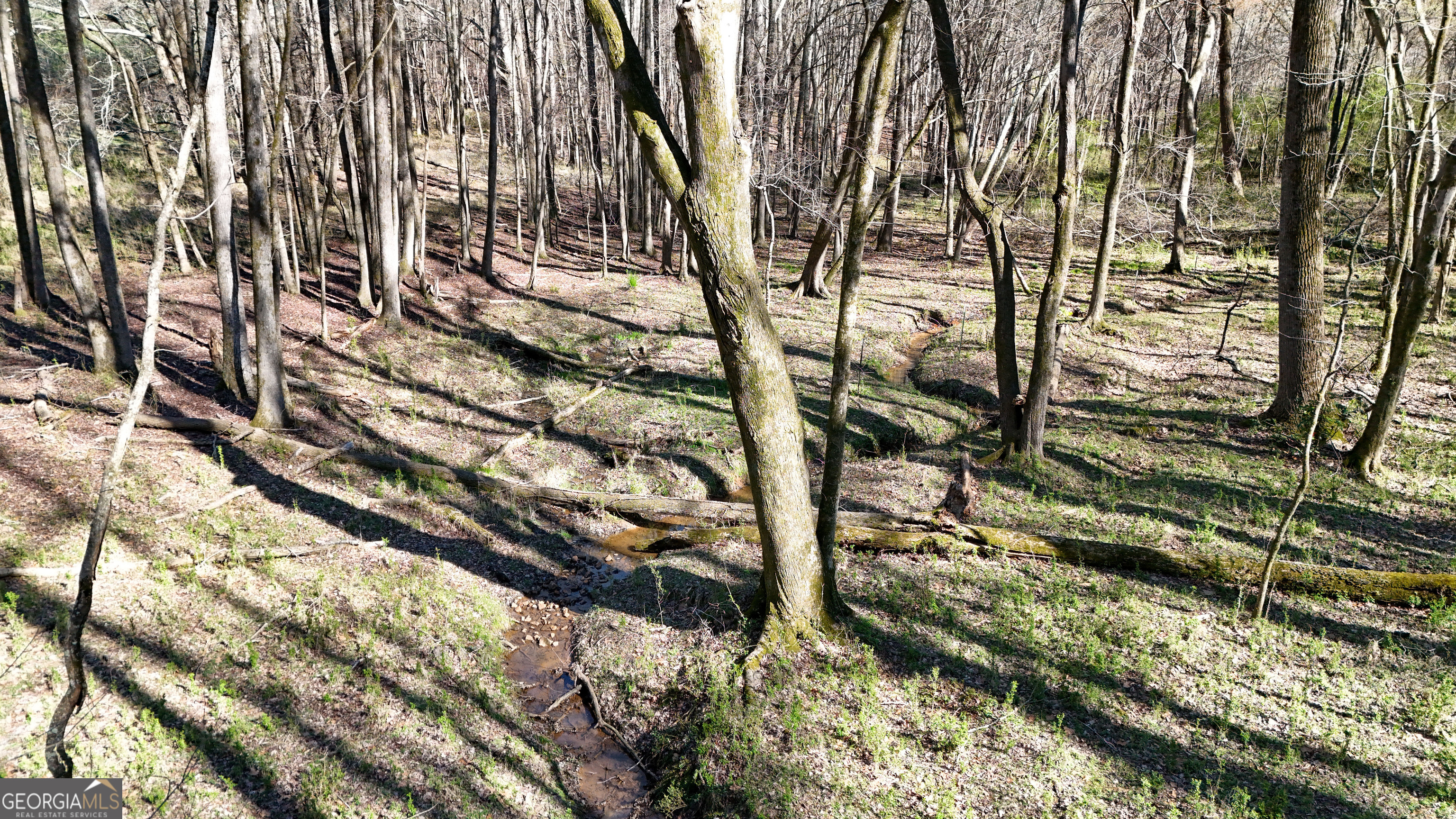 40 Meadow Trail