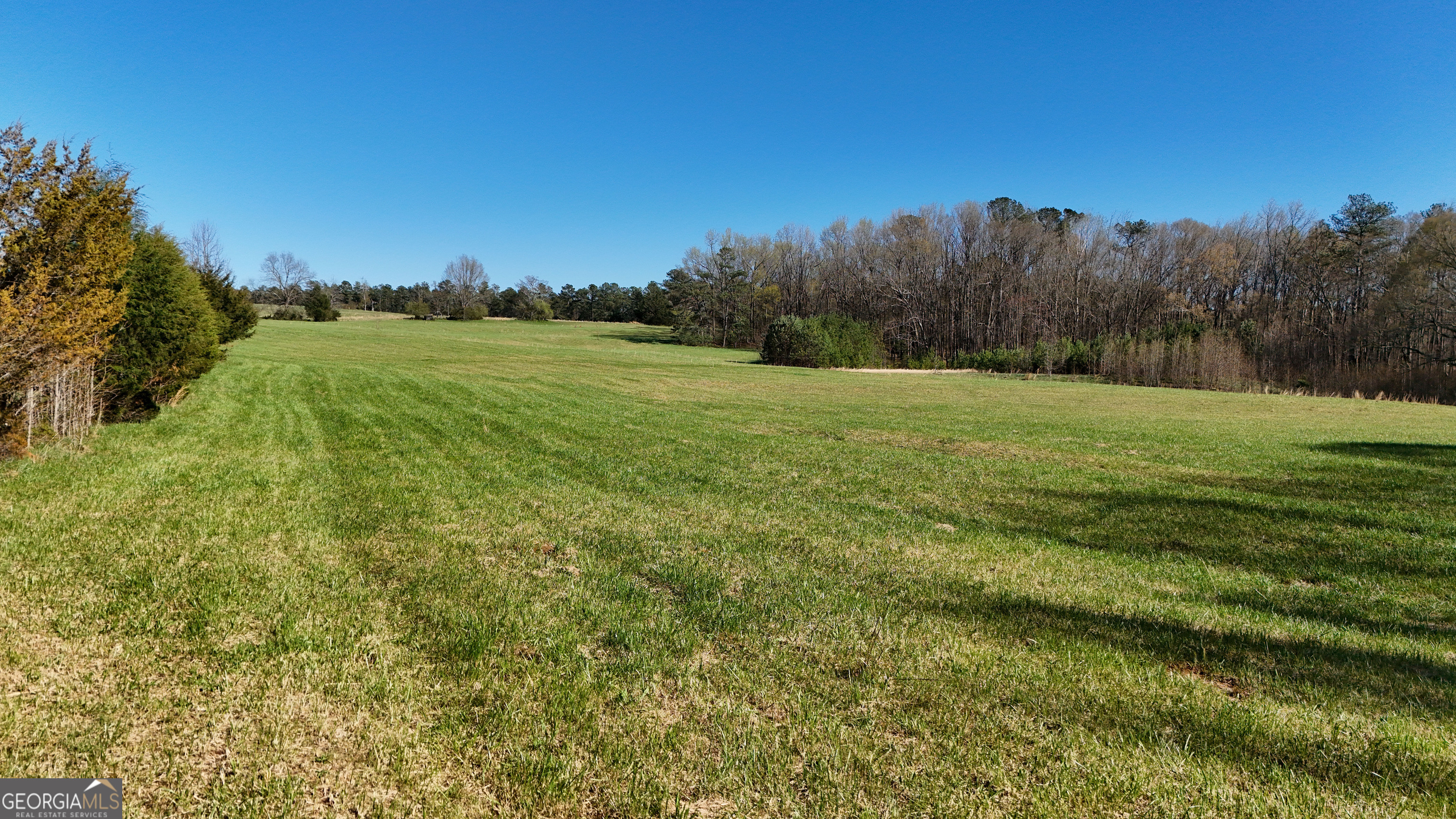 40 Meadow Trail