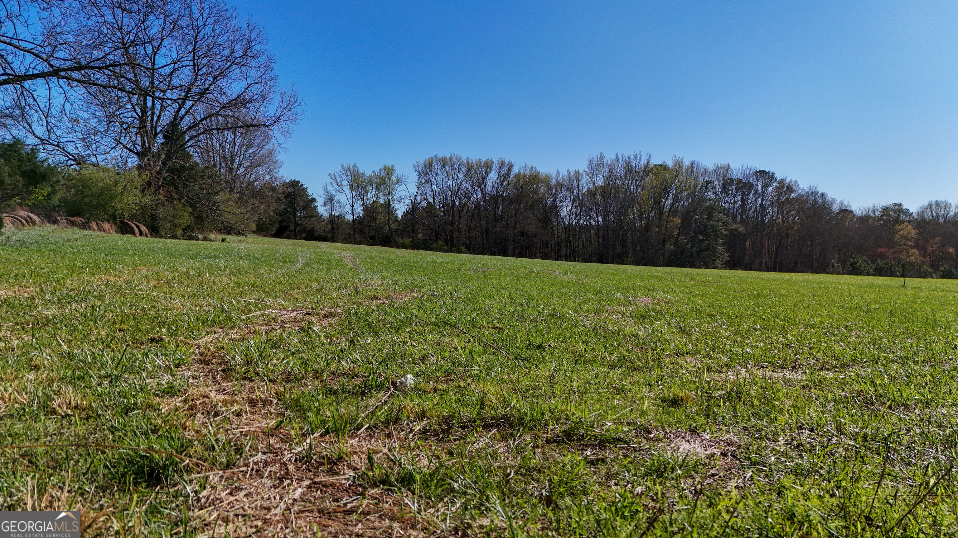 40 Meadow Trail