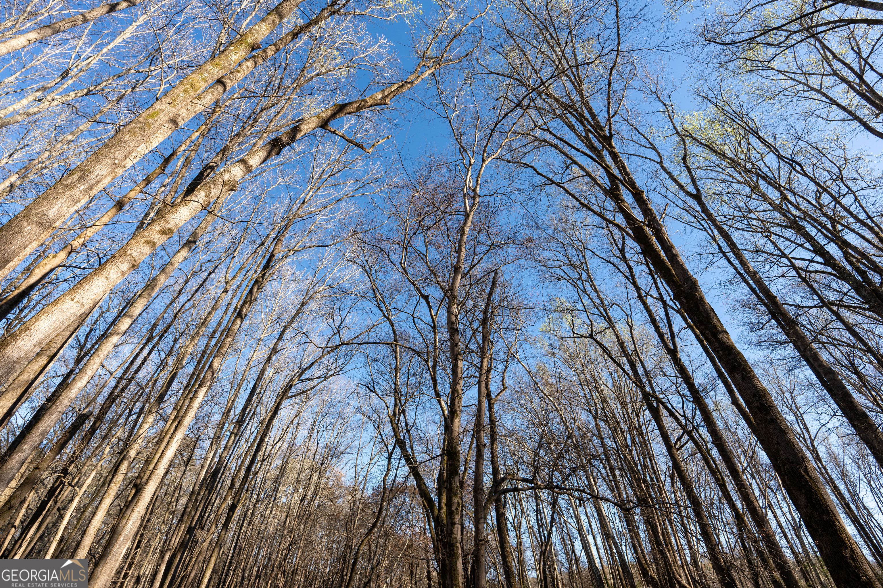 40 Meadow Trail