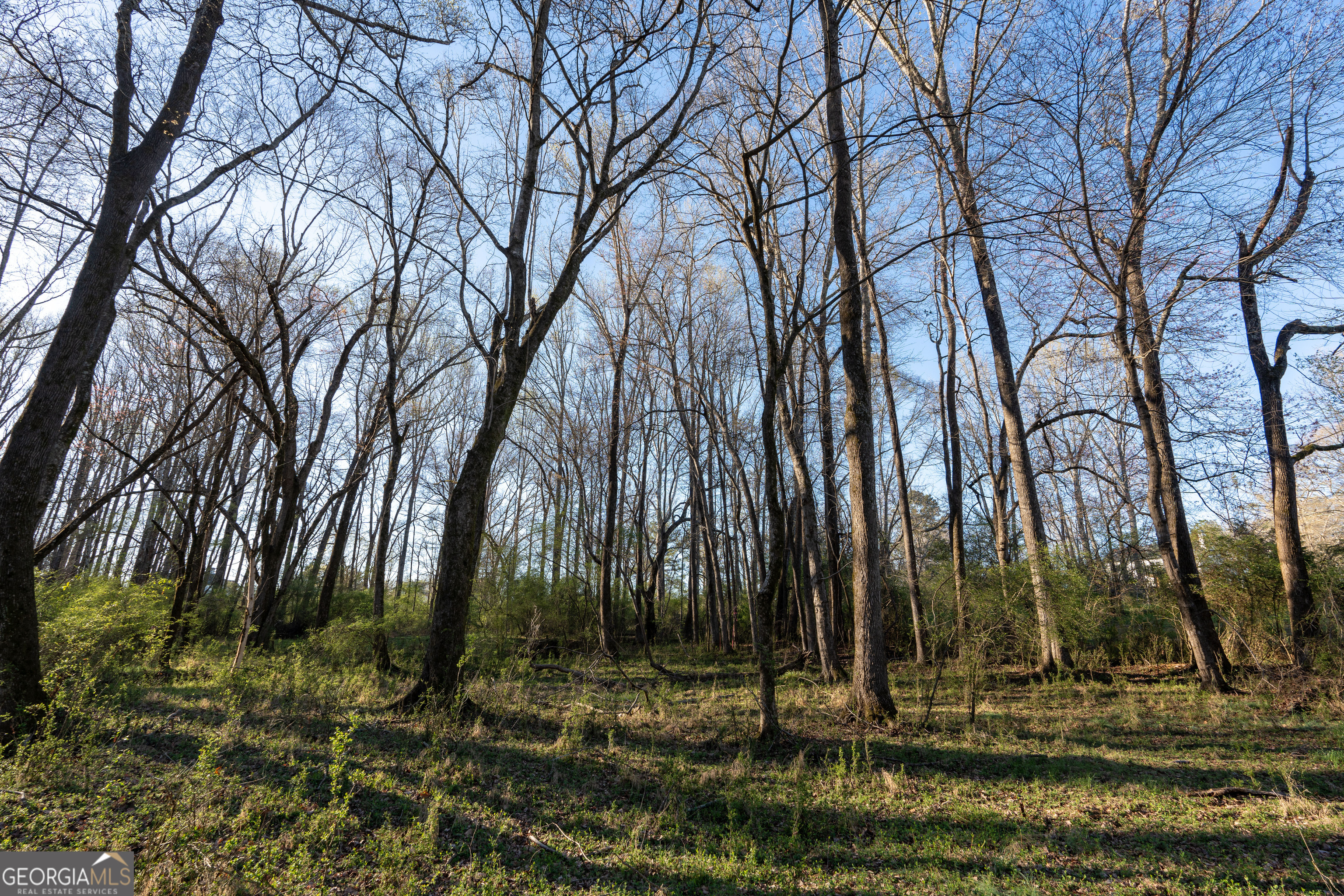 40 Meadow Trail