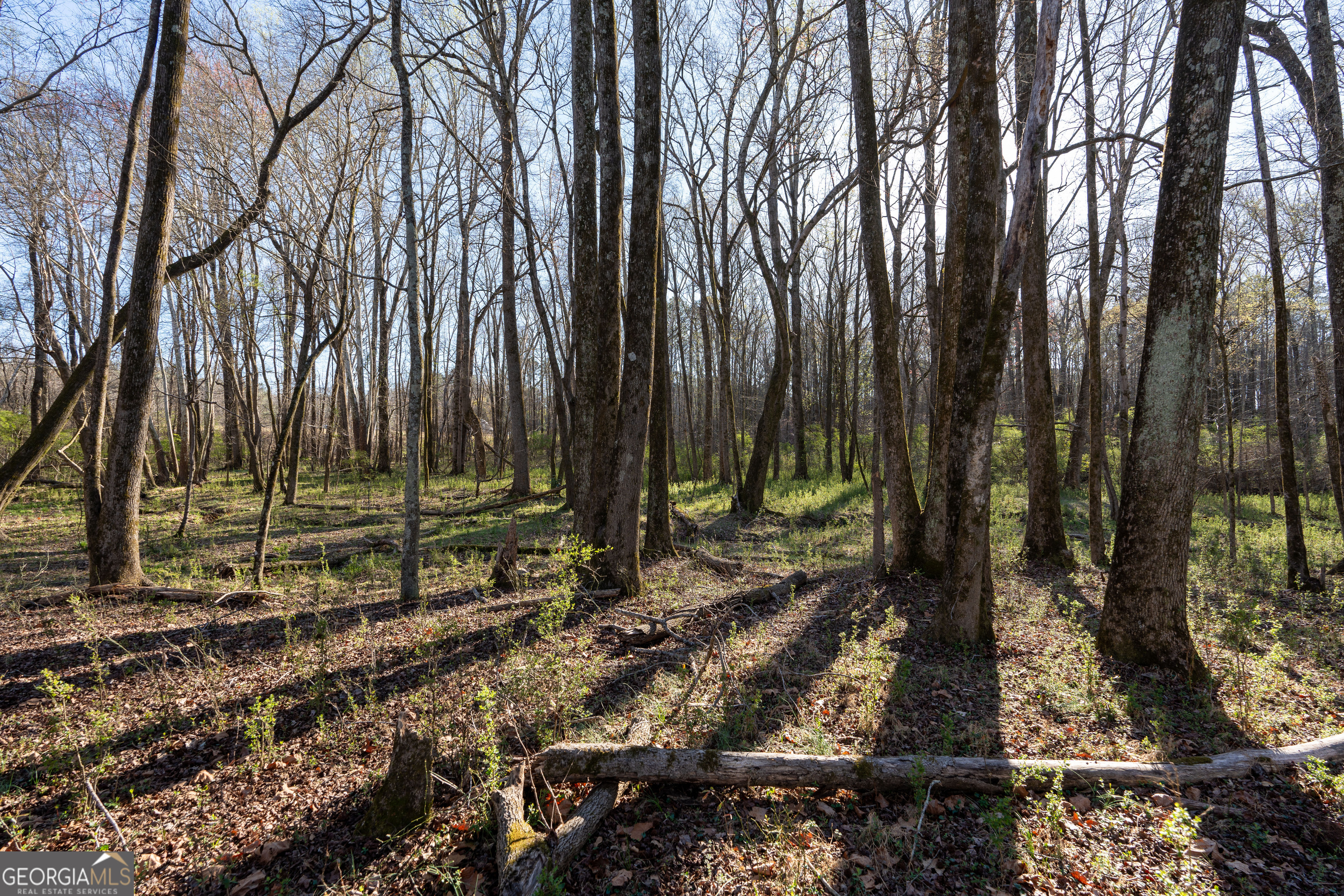 40 Meadow Trail