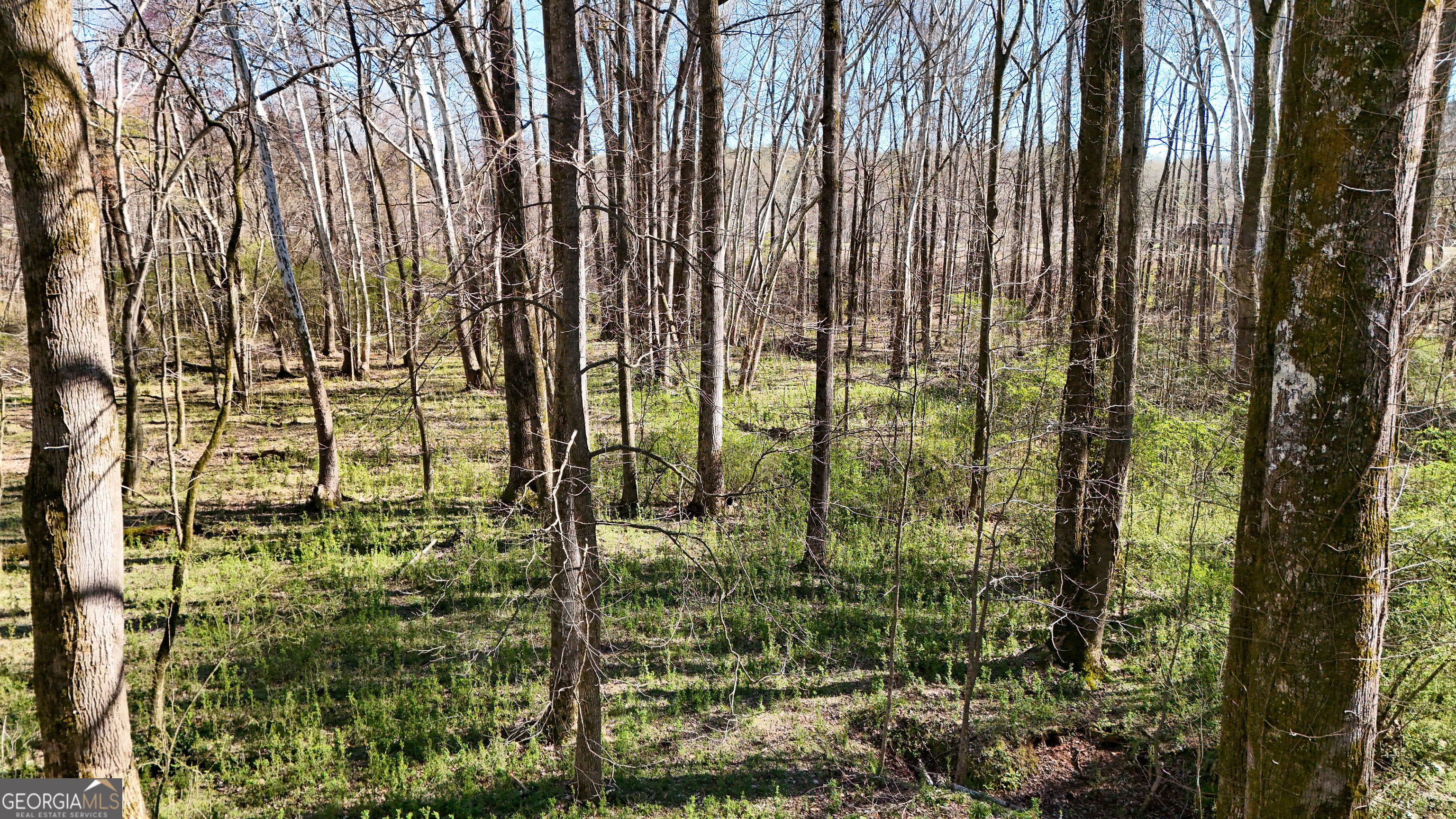 40 Meadow Trail