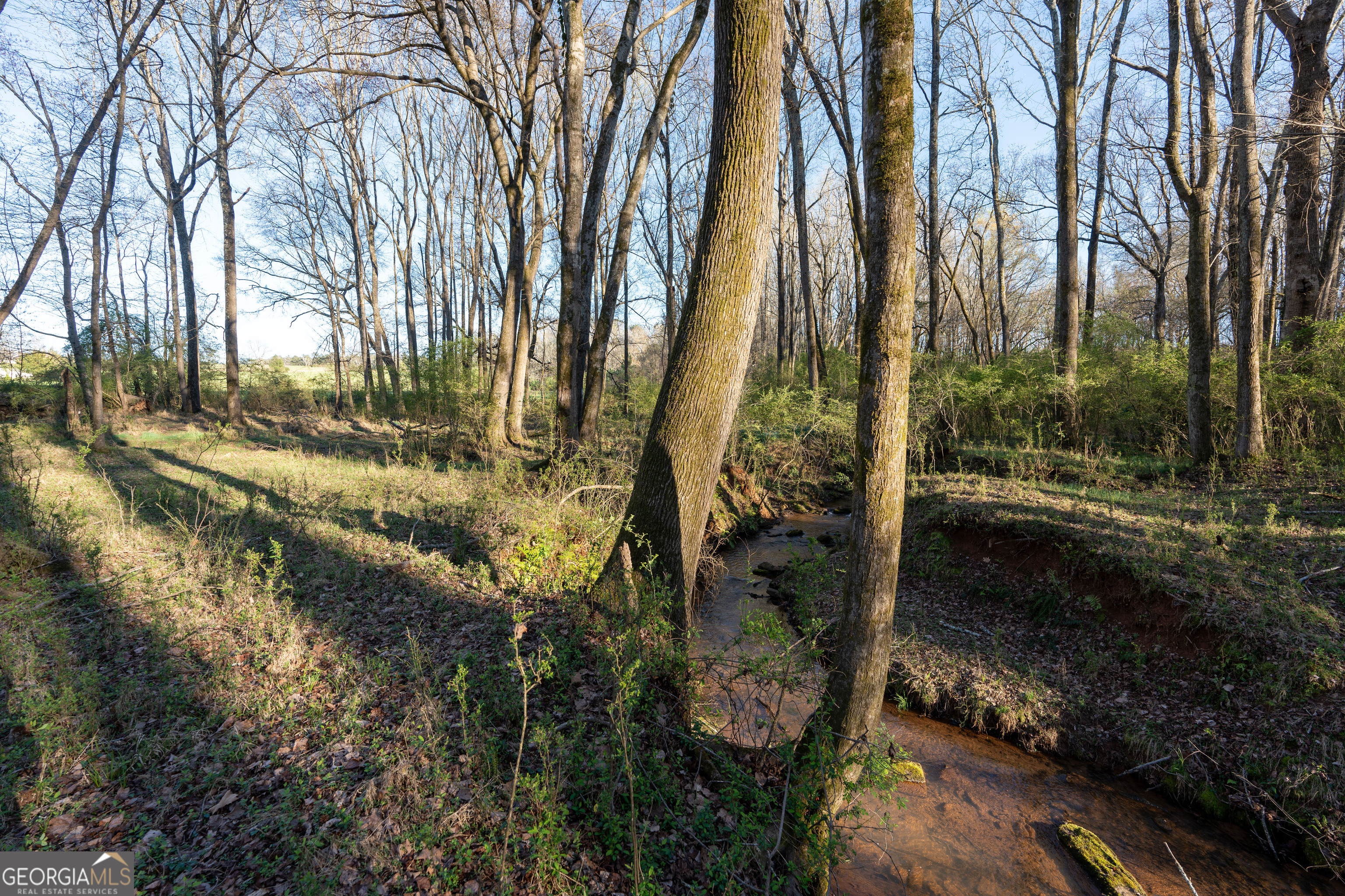 40 Meadow Trail