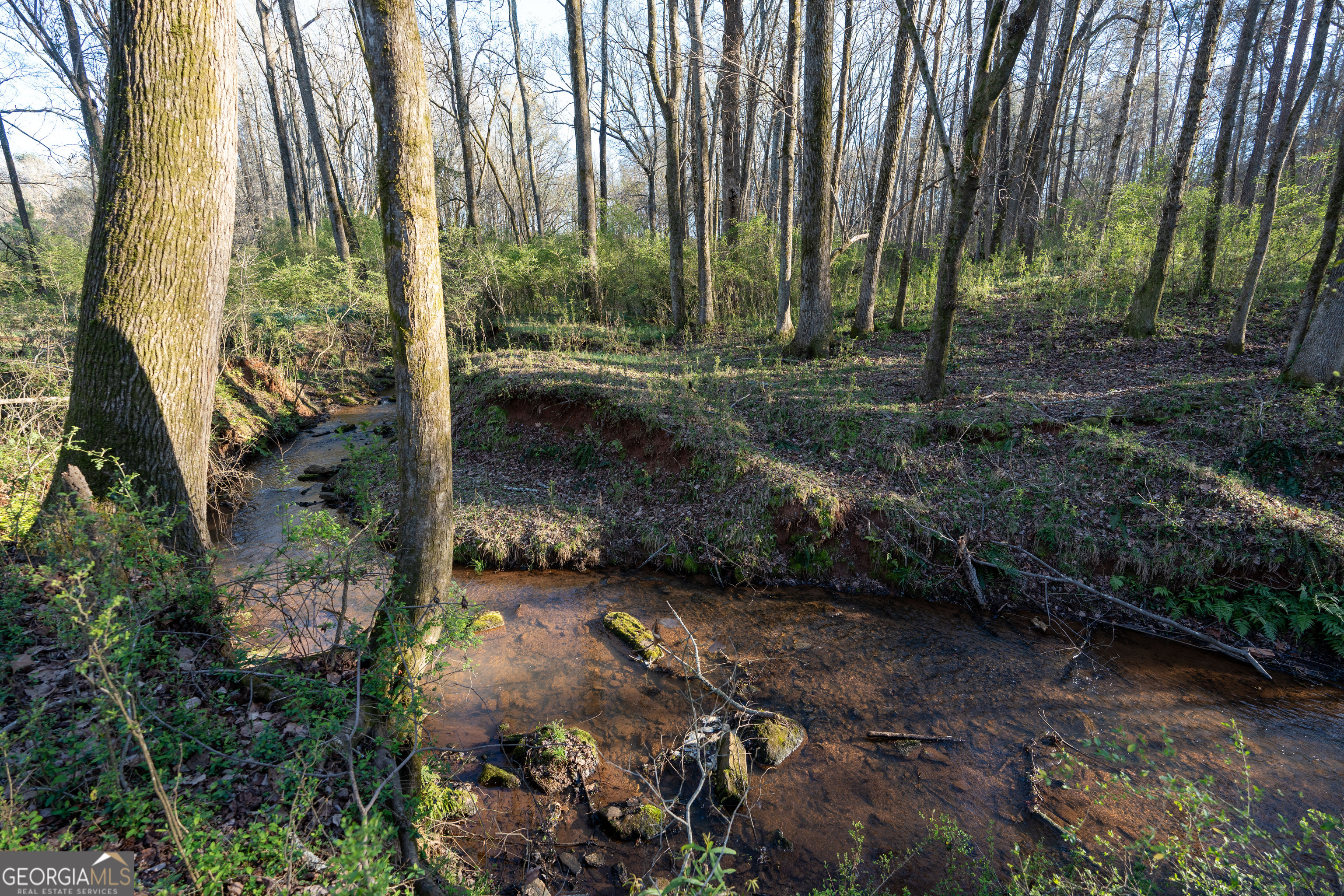 40 Meadow Trail