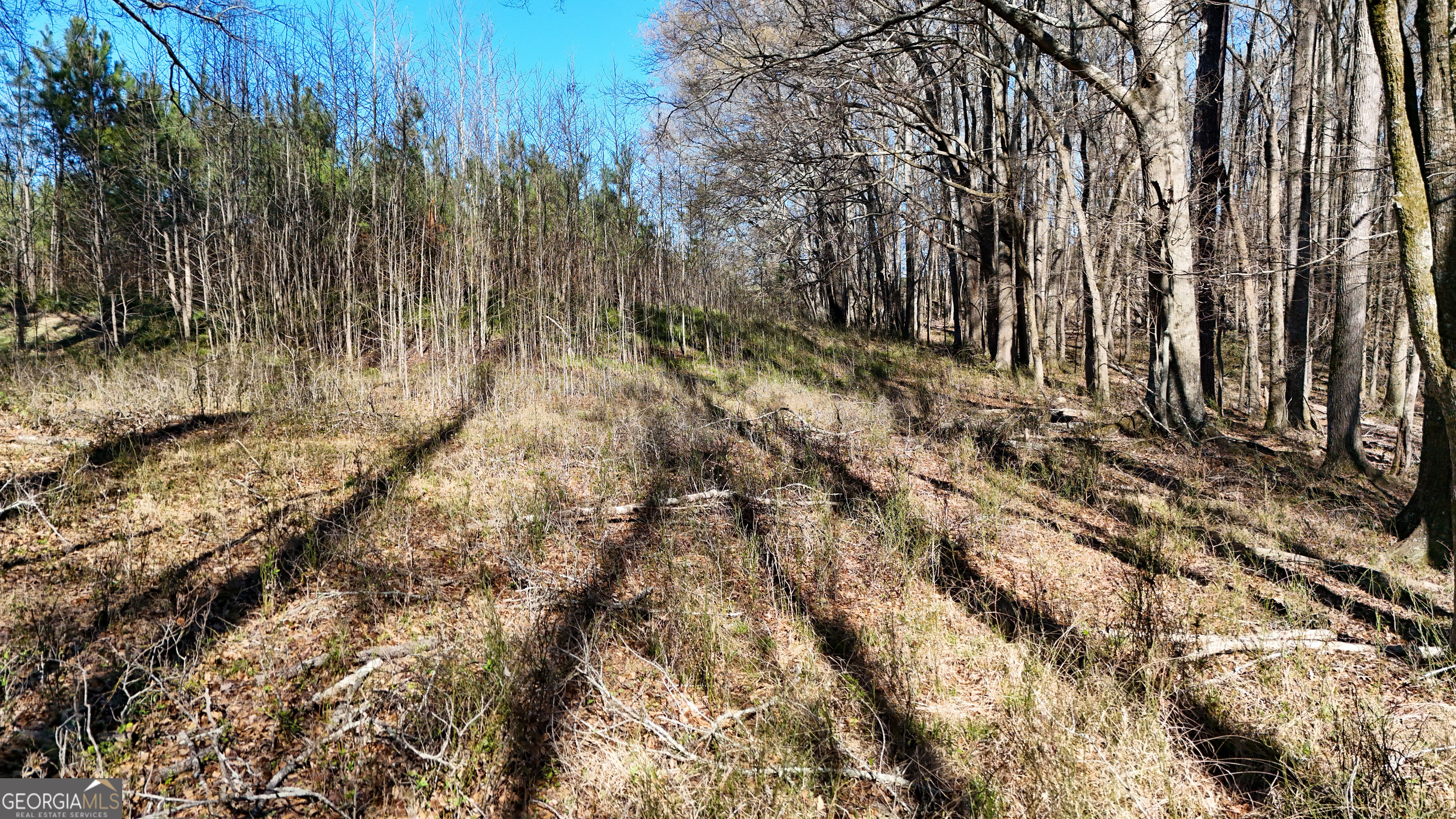 40 Meadow Trail