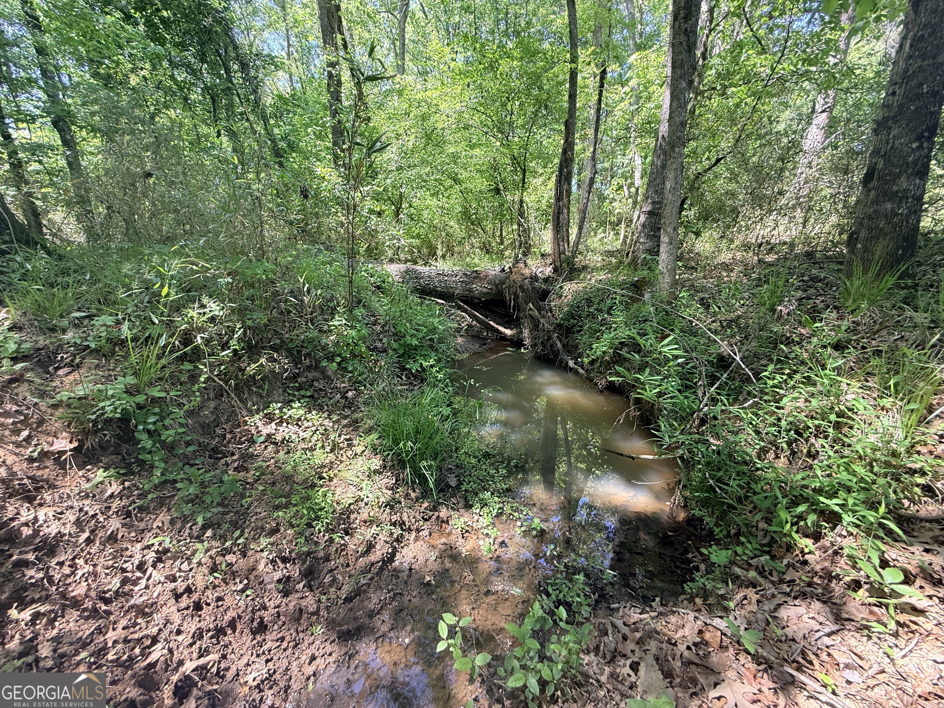 0 Duck Pond Road