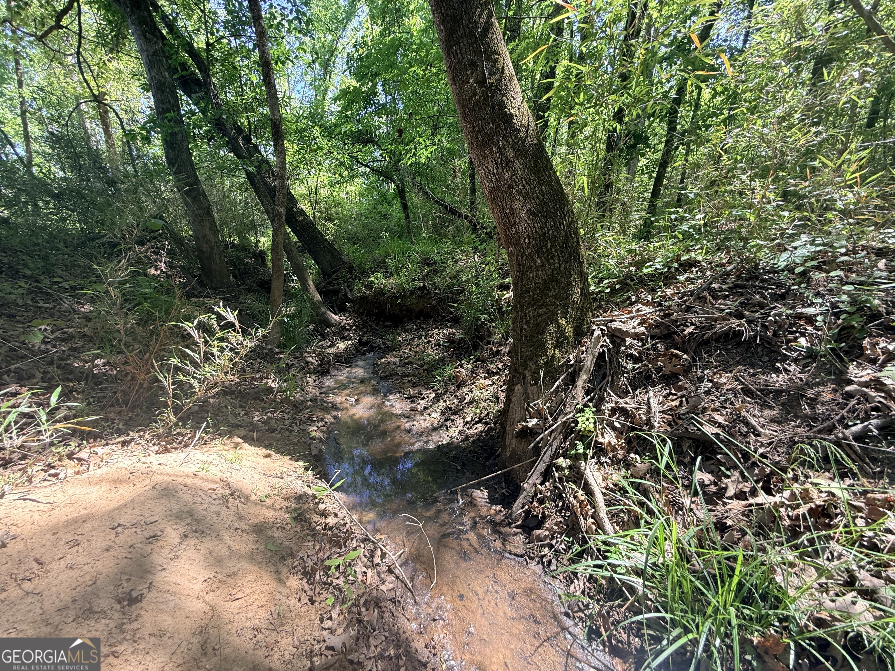 0 Duck Pond Road