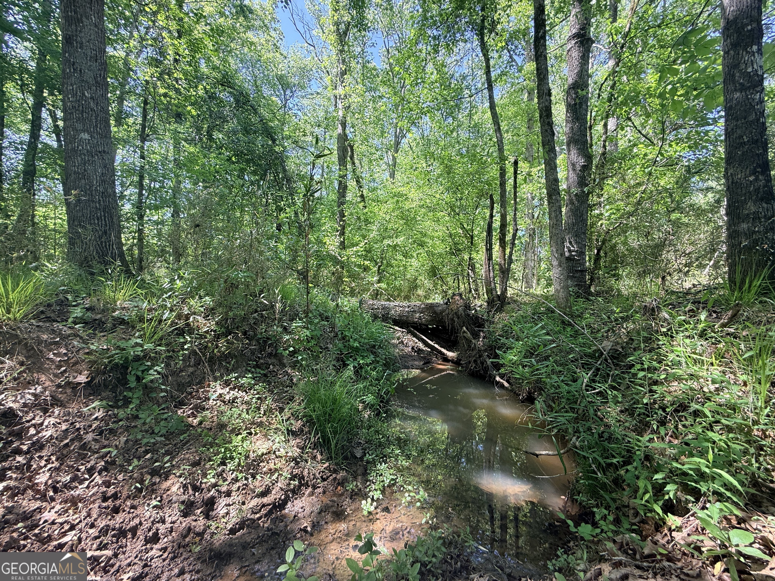 0 Duck Pond Road