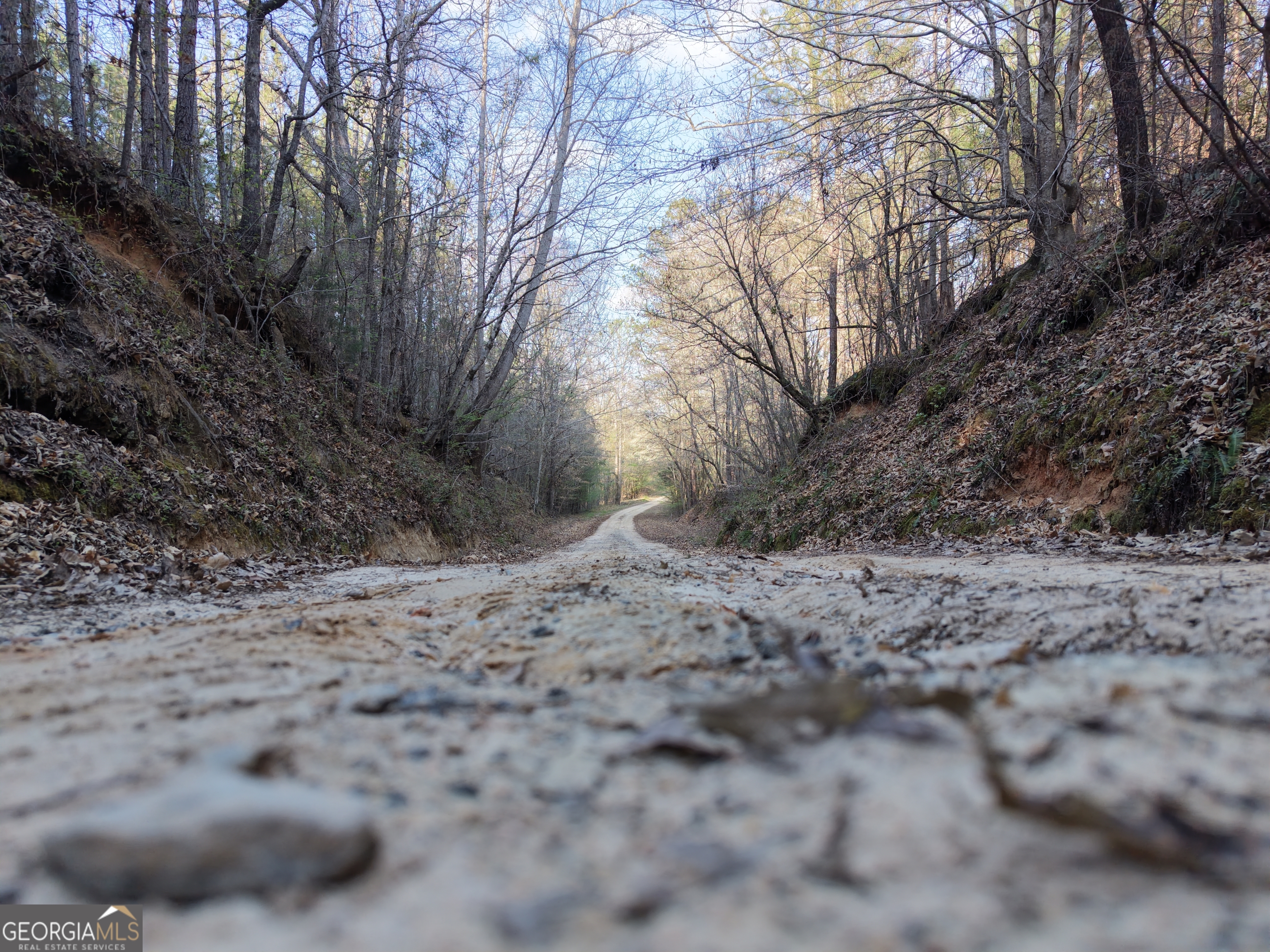 8 Hollis Norman Road