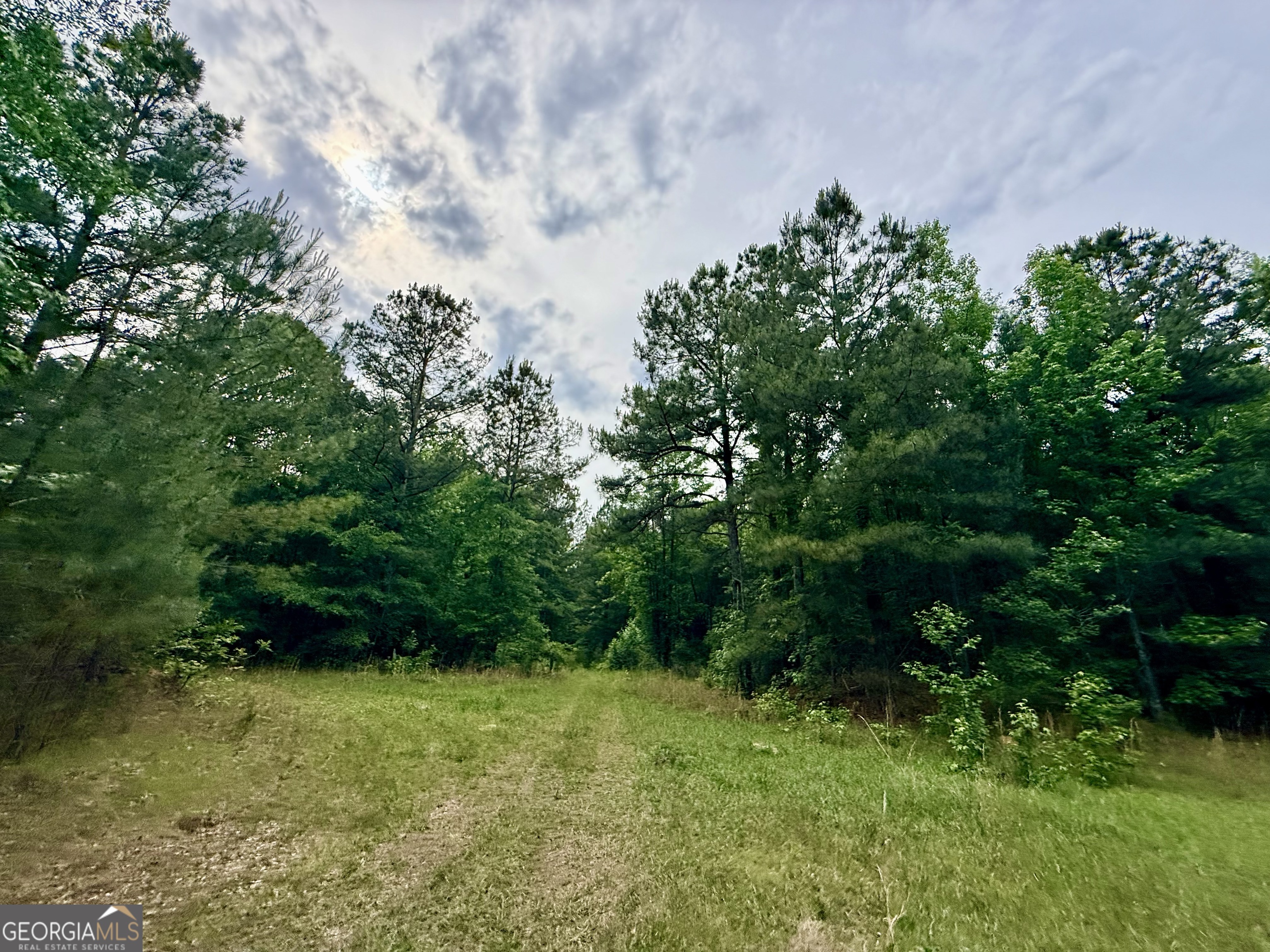 715 Fulsome Creek Road