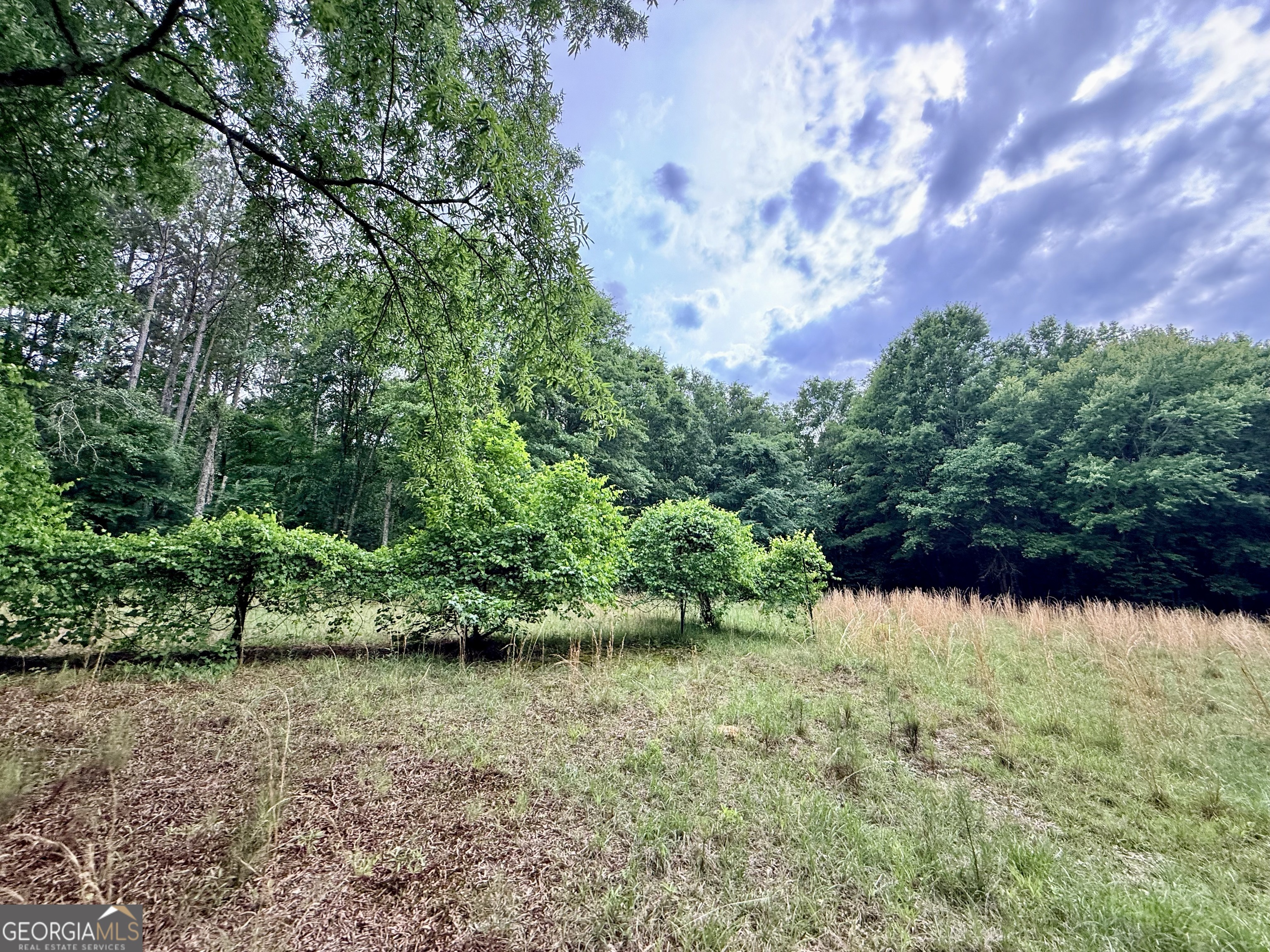 715 Fulsome Creek Road