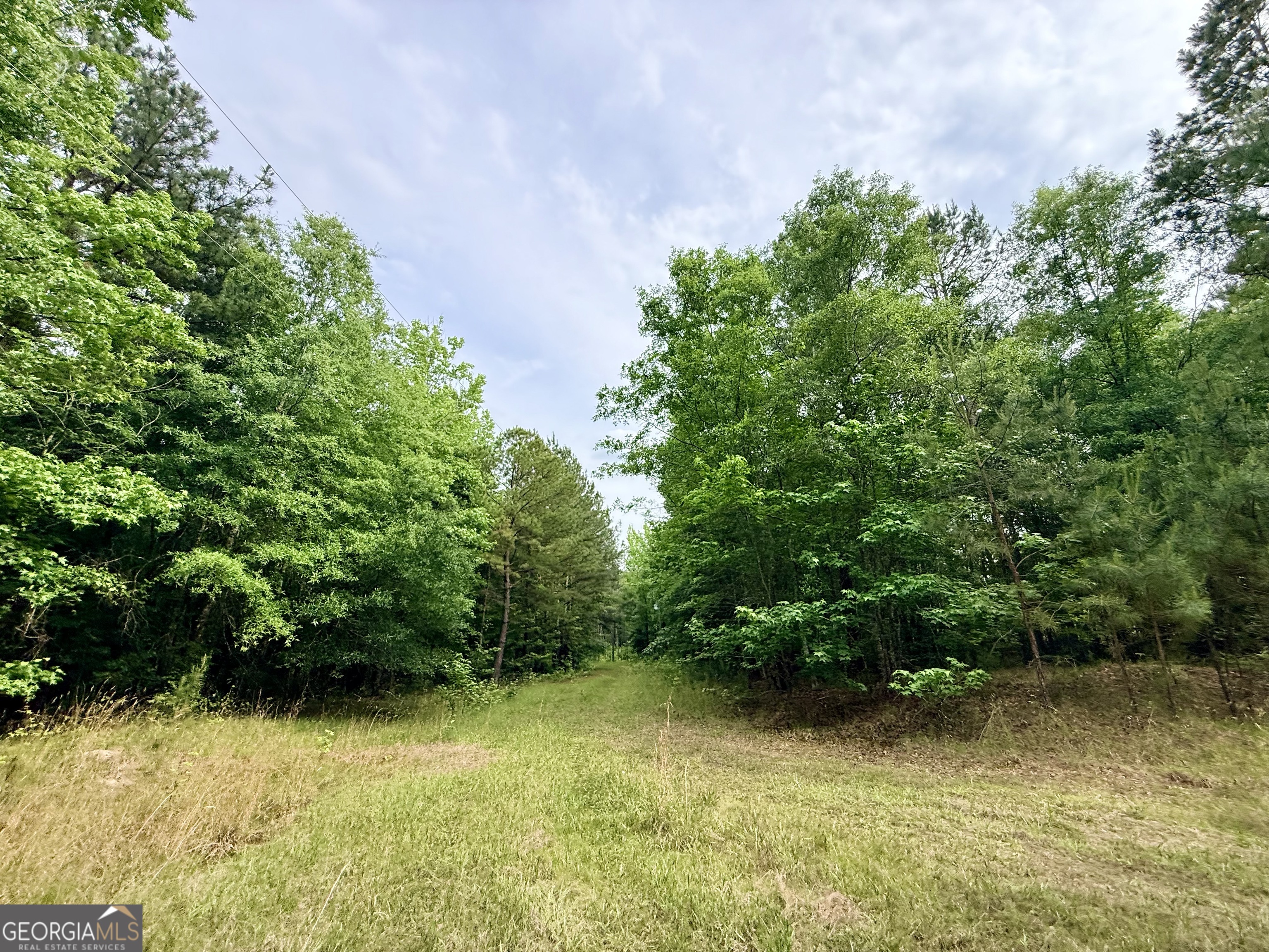 715 Fulsome Creek Road
