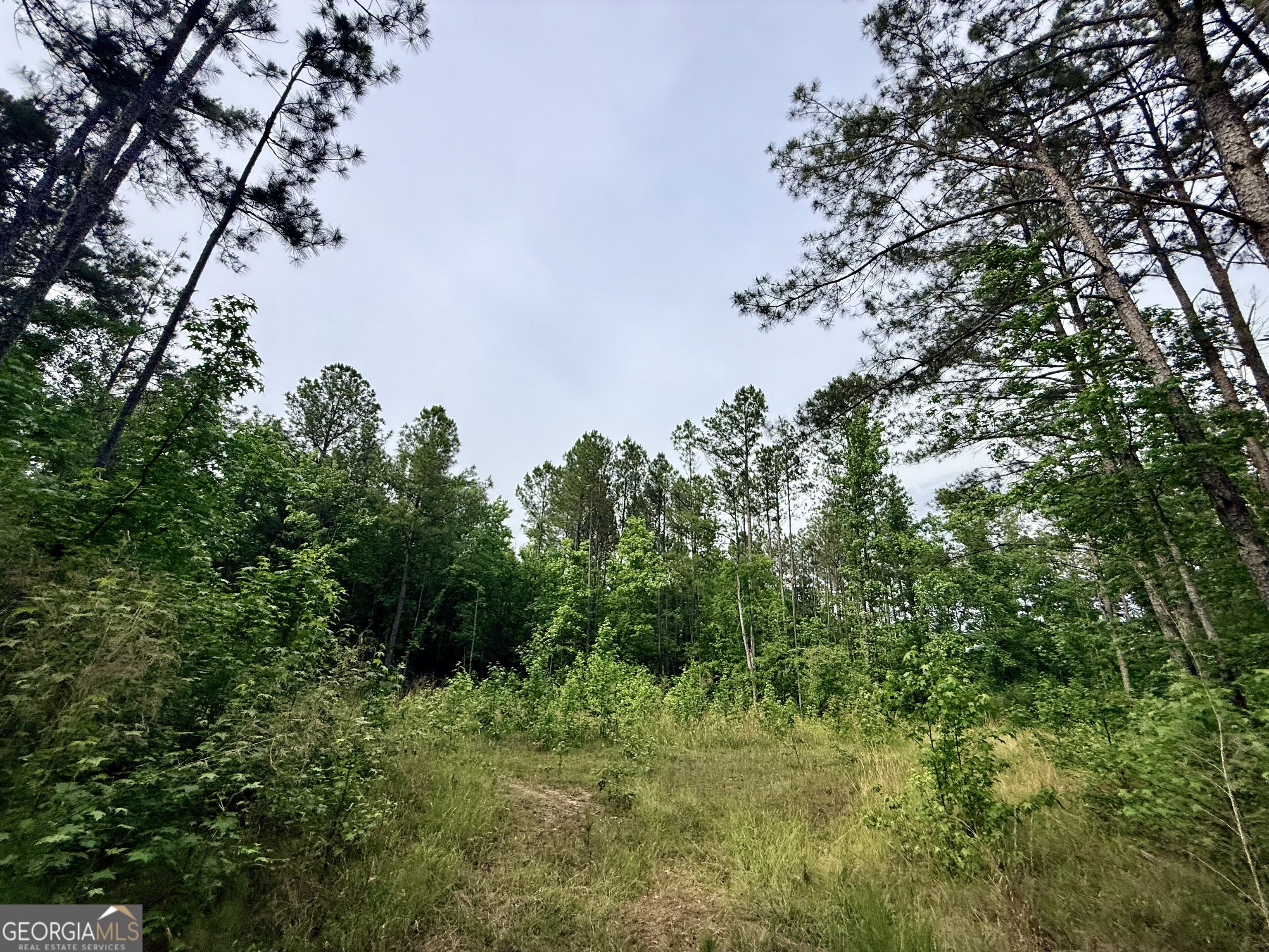 715 Fulsome Creek Road