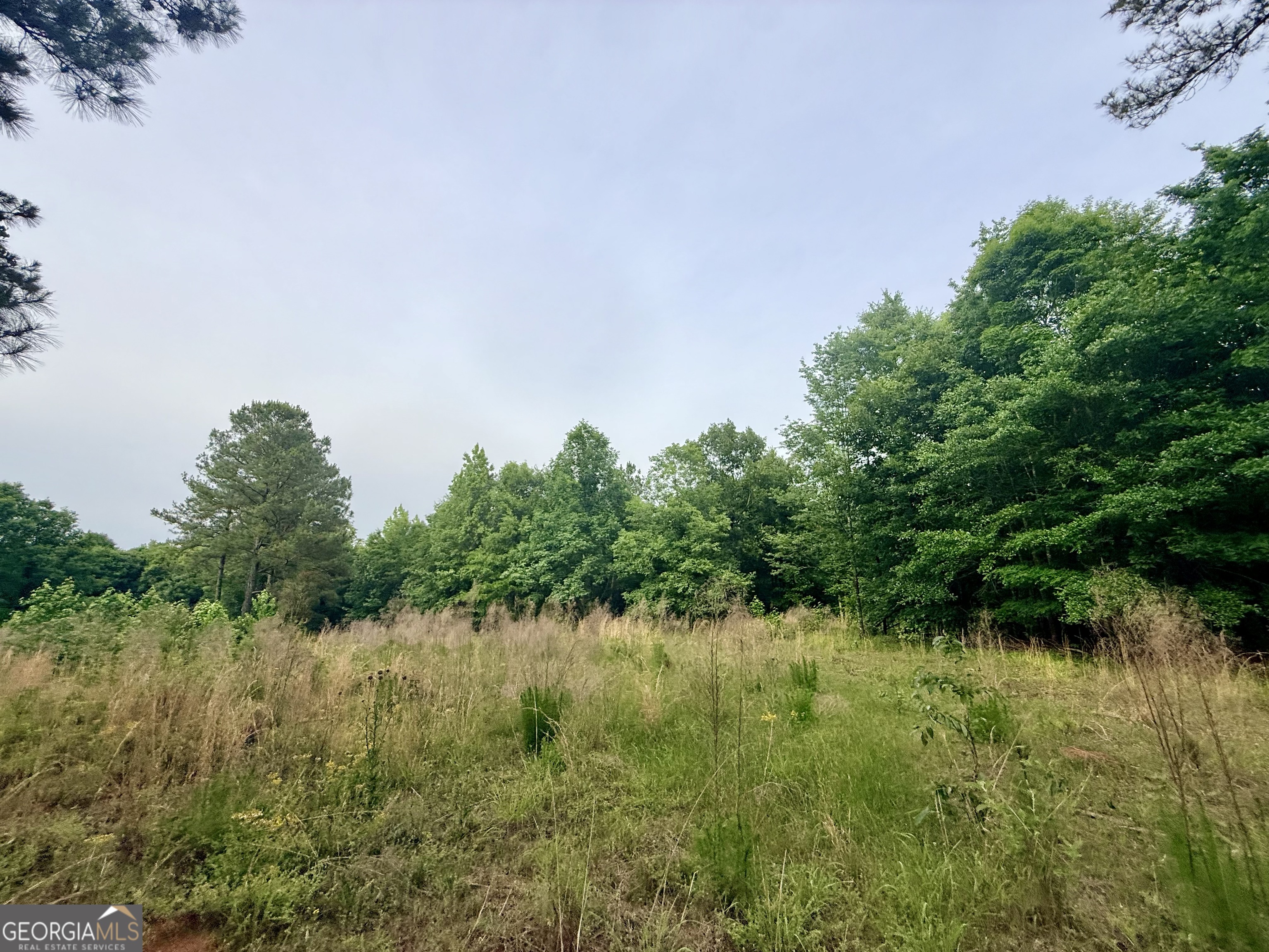 715 Fulsome Creek Road