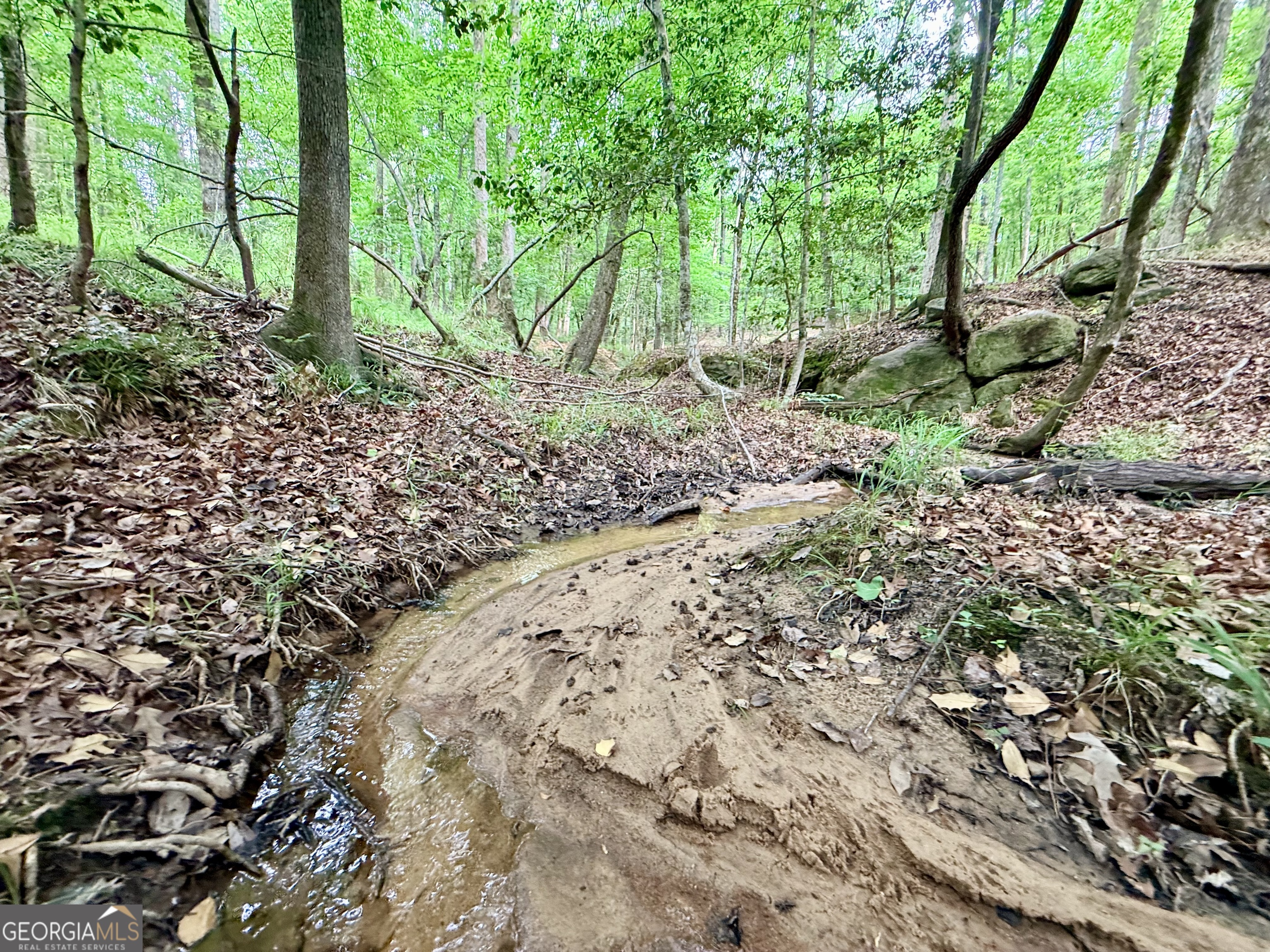 715 Fulsome Creek Road