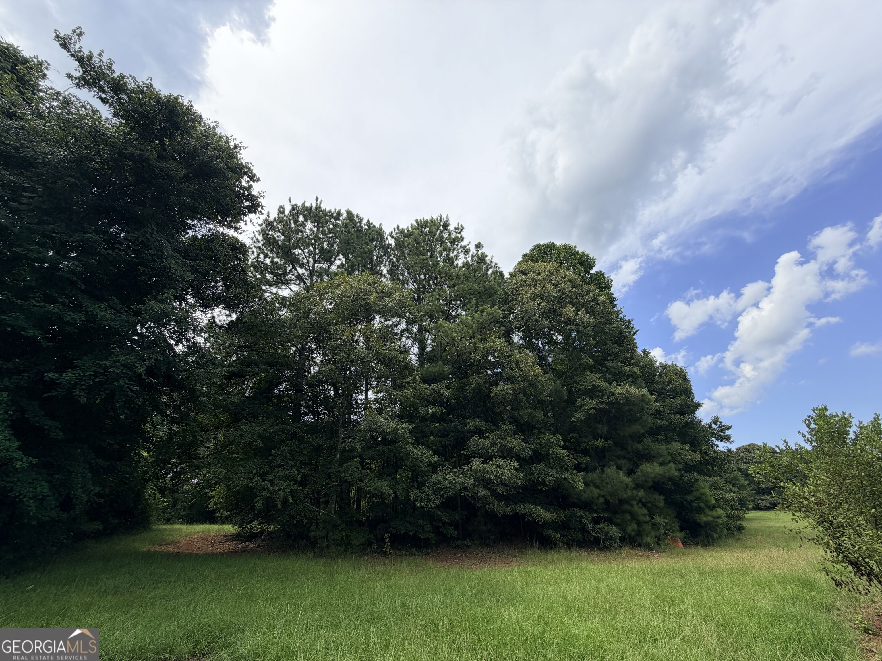 161 Mount Bethel Road