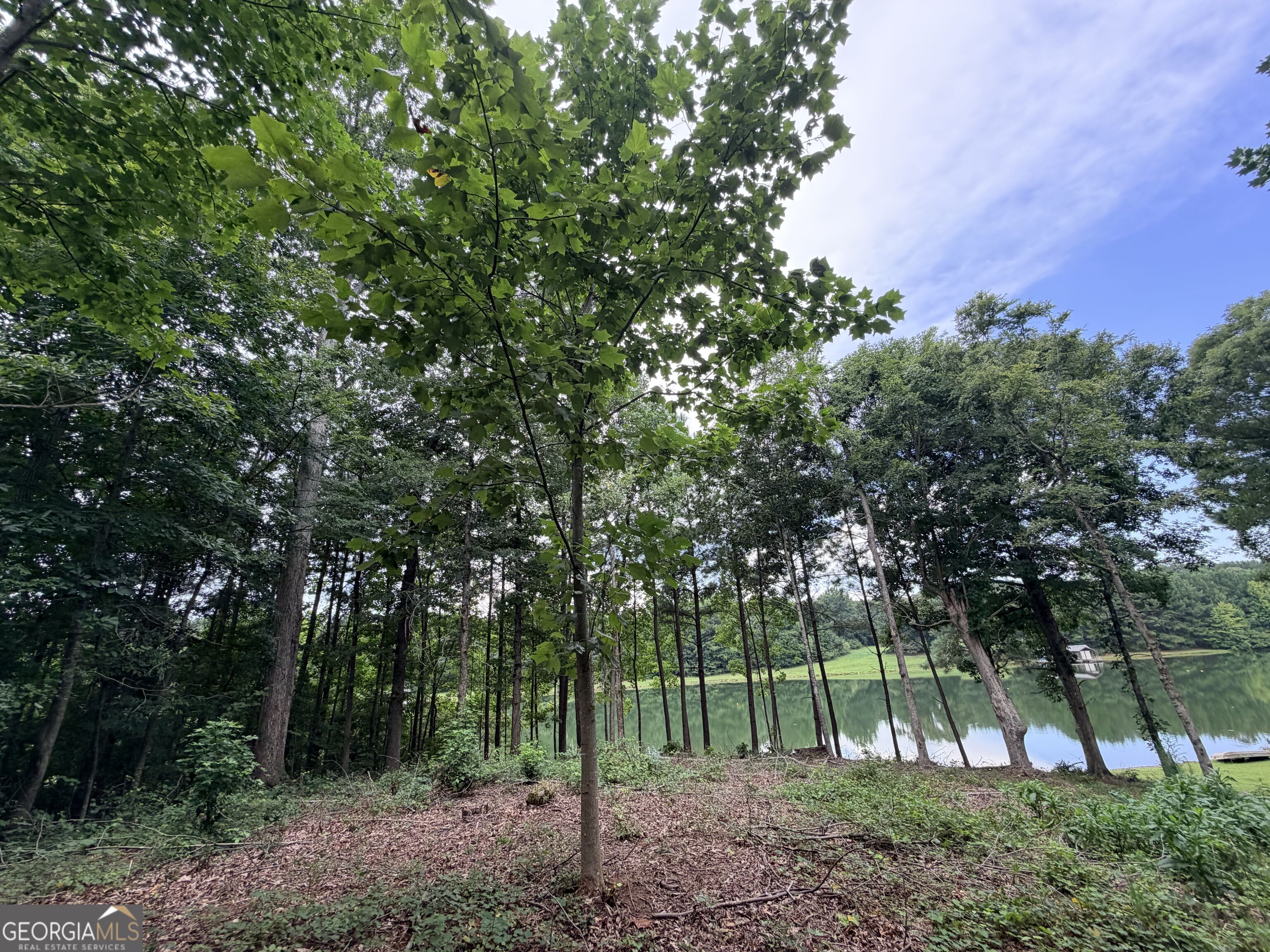 161 Mount Bethel Road