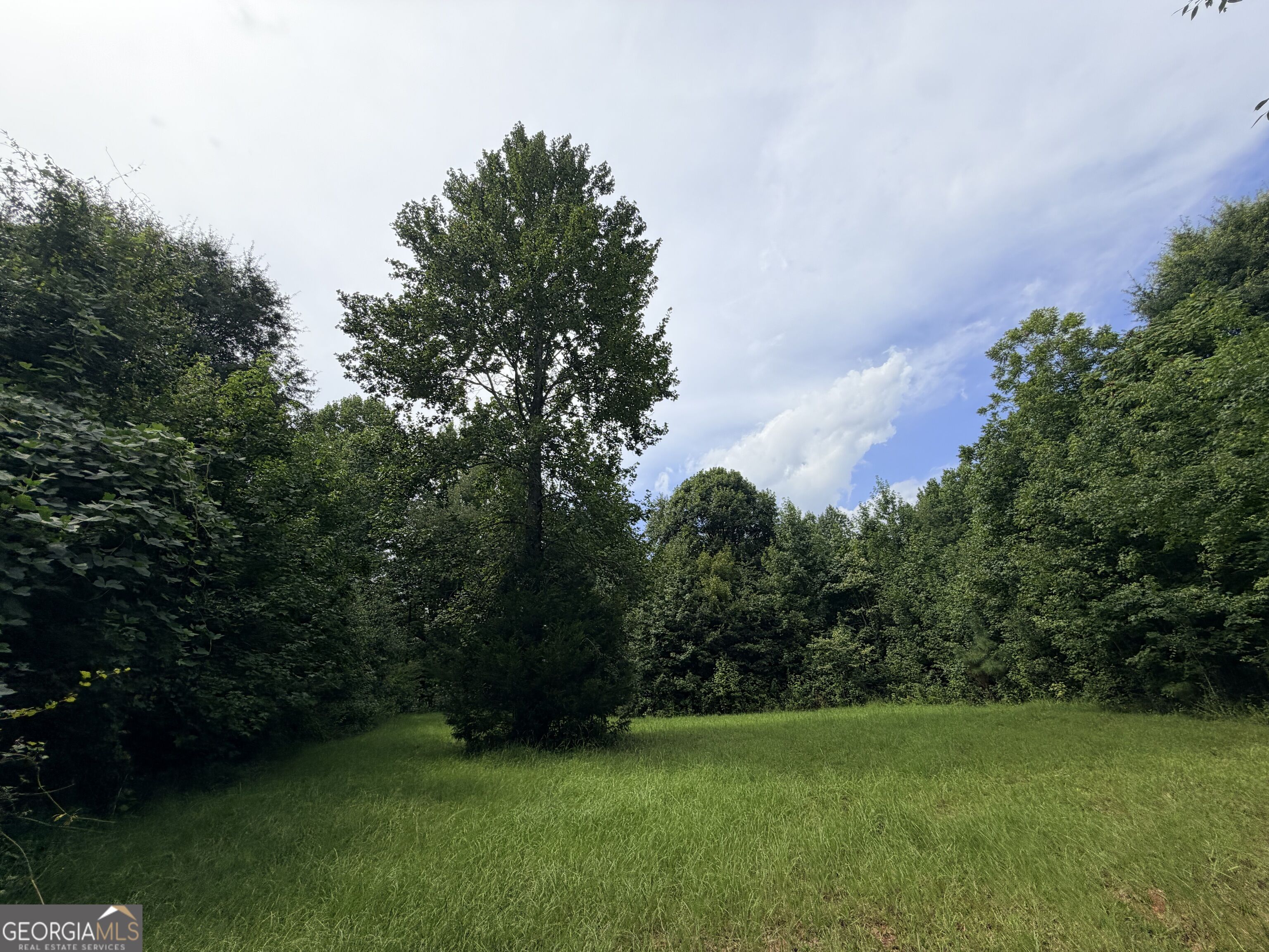 161 Mount Bethel Road