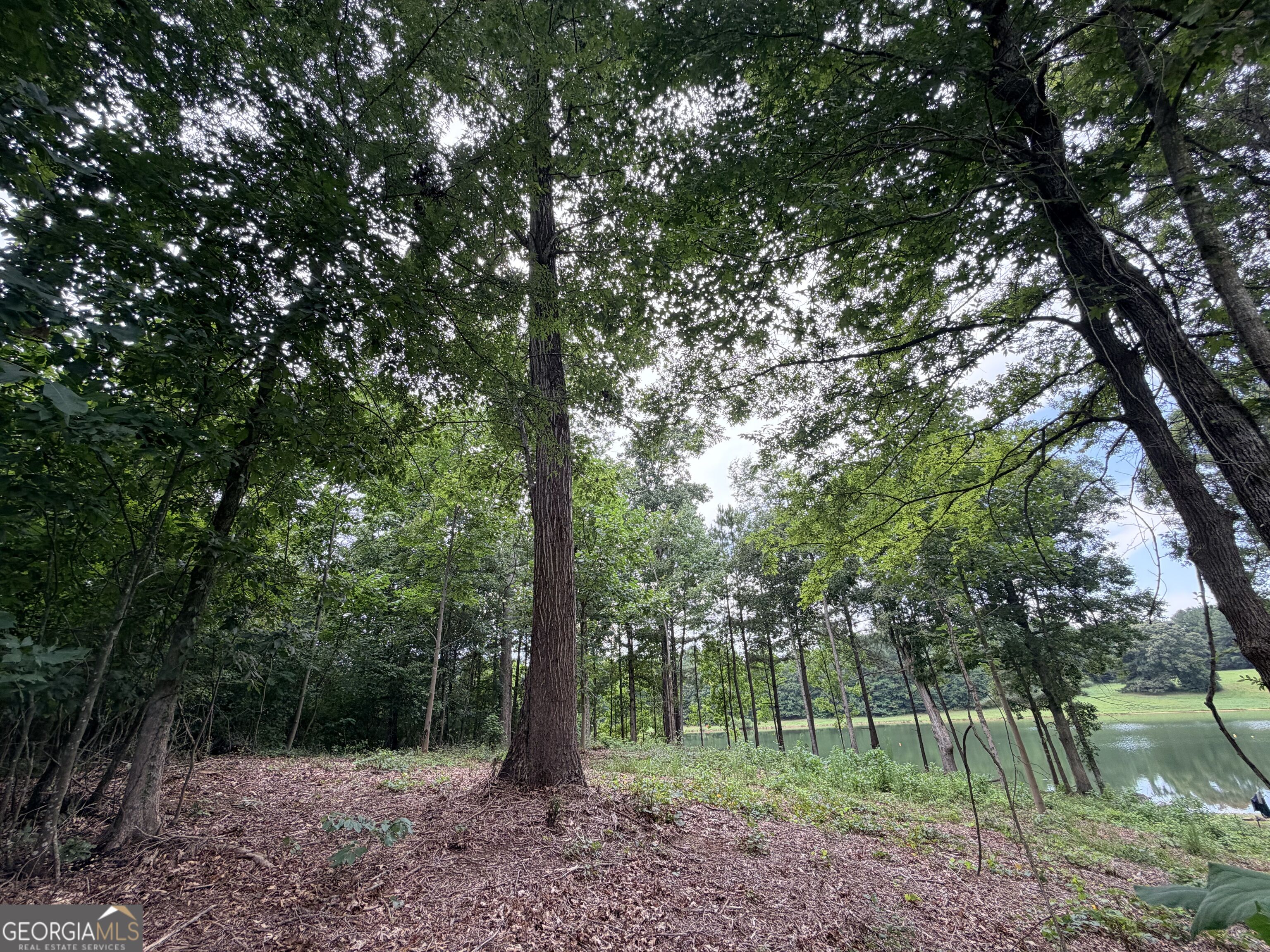 161 Mount Bethel Road