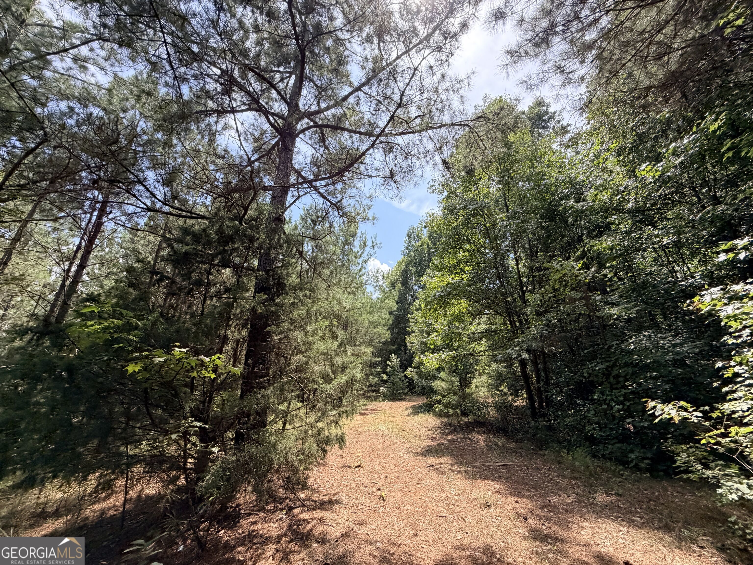 161 Mount Bethel Road