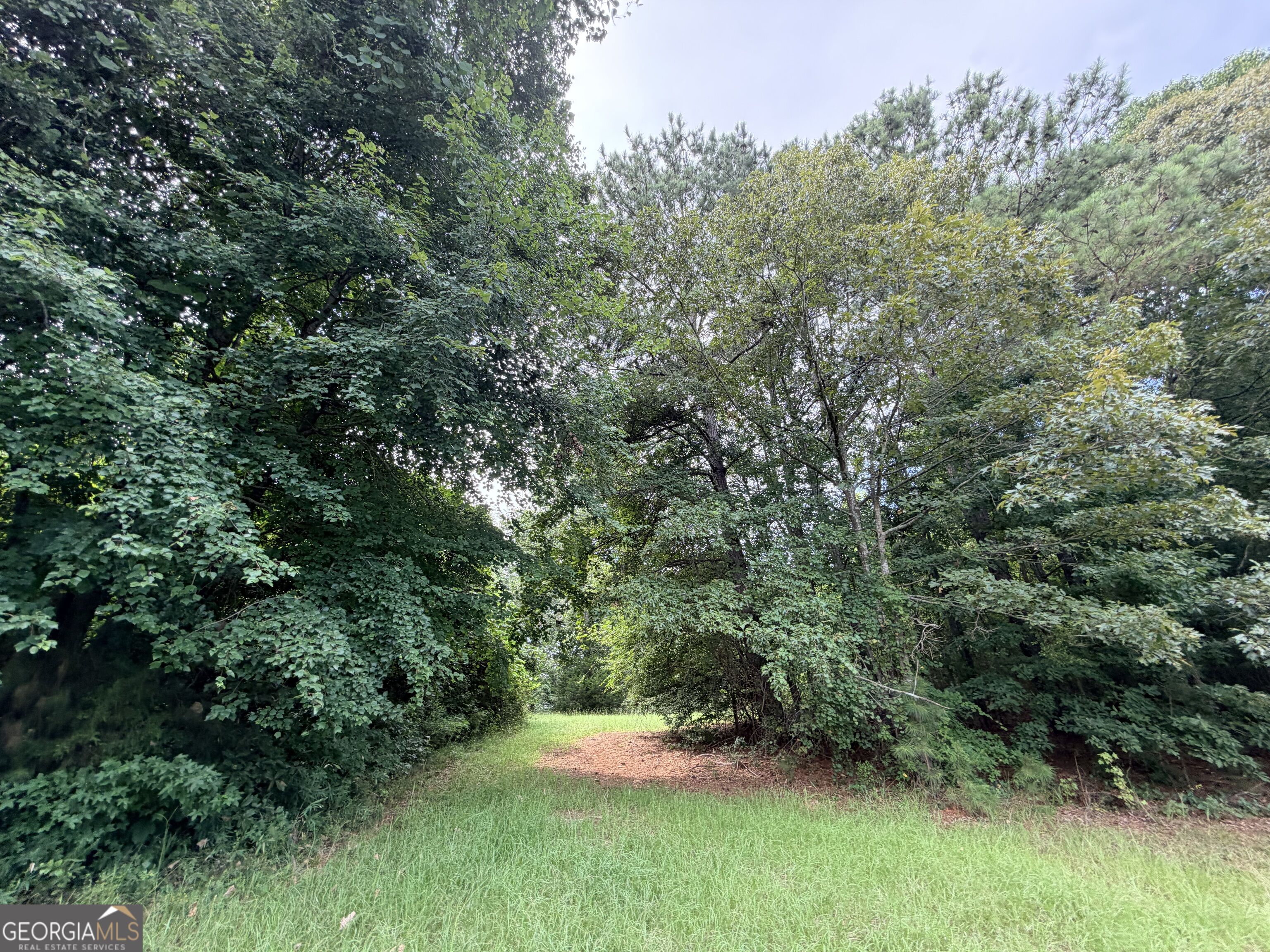 161 Mount Bethel Road