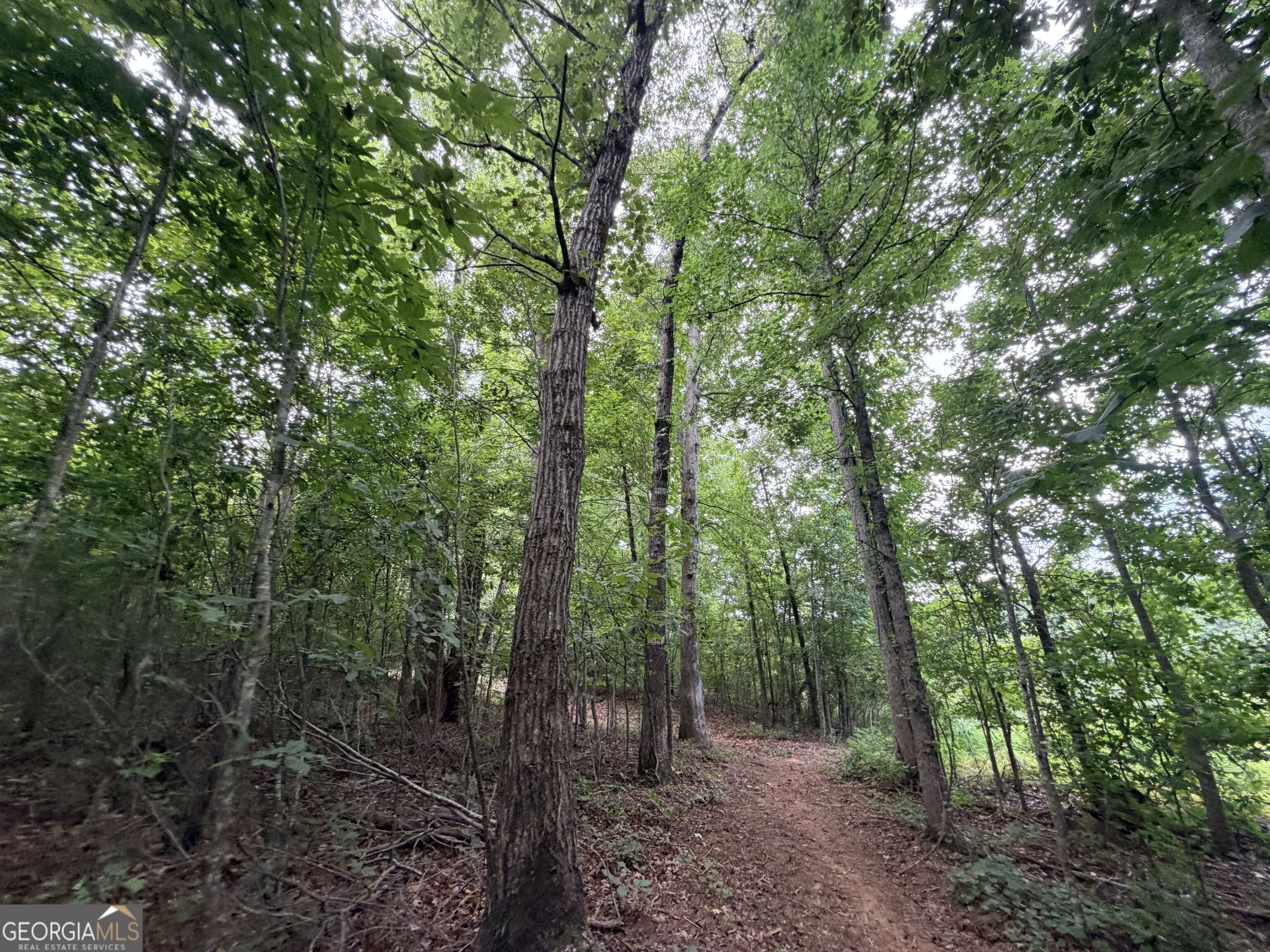 161 Mount Bethel Road