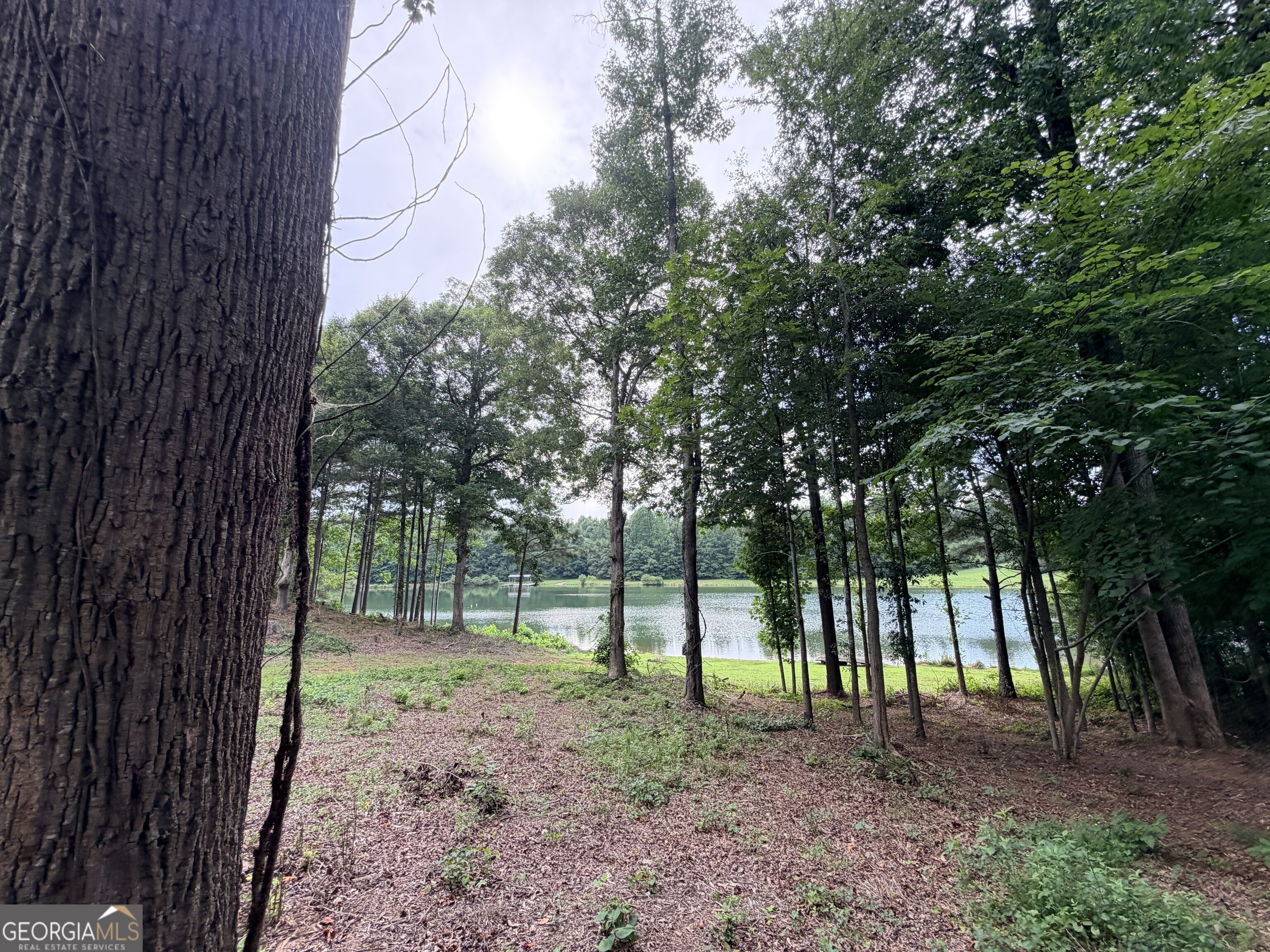 161 Mount Bethel Road