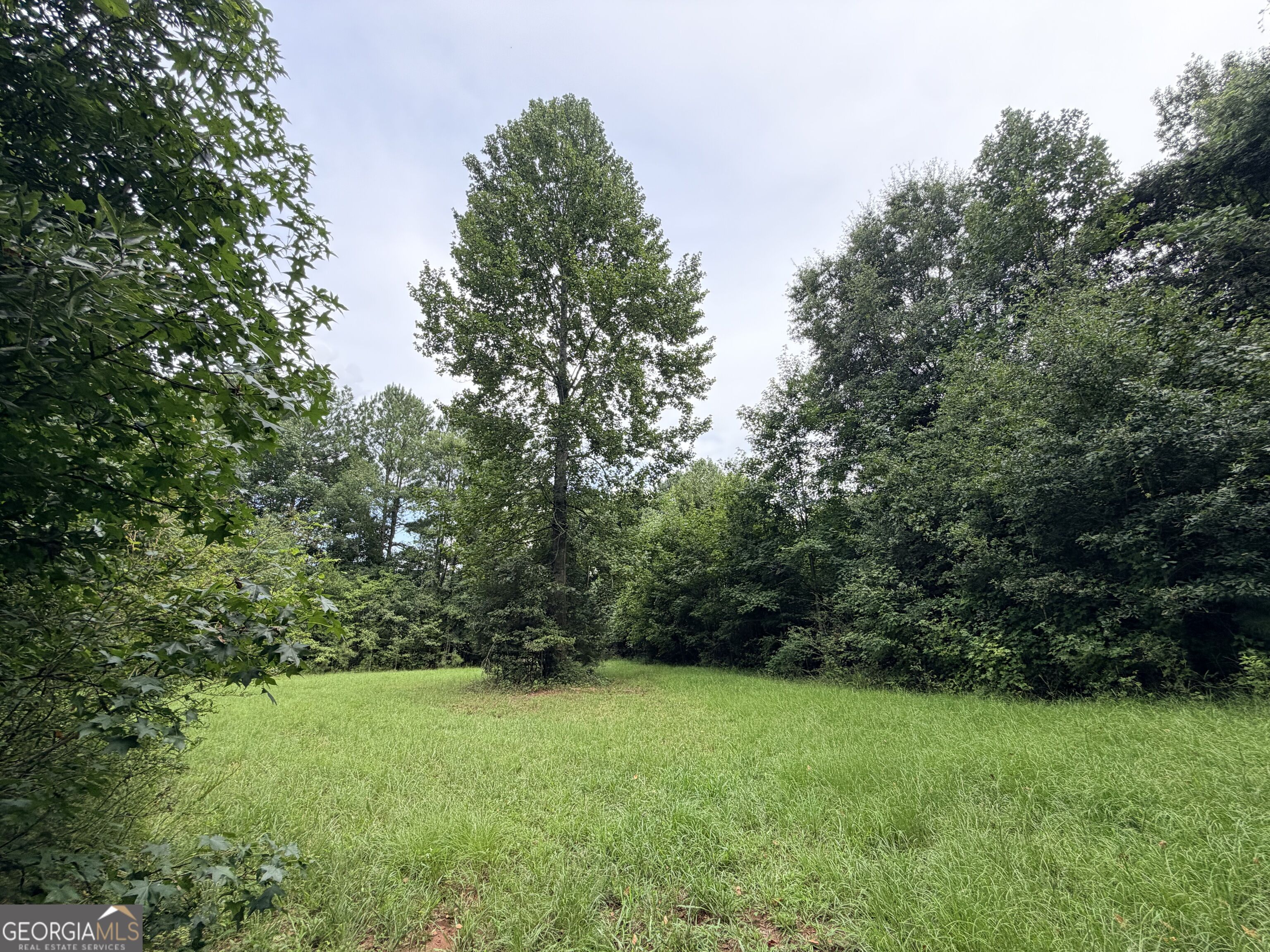 161 Mount Bethel Road