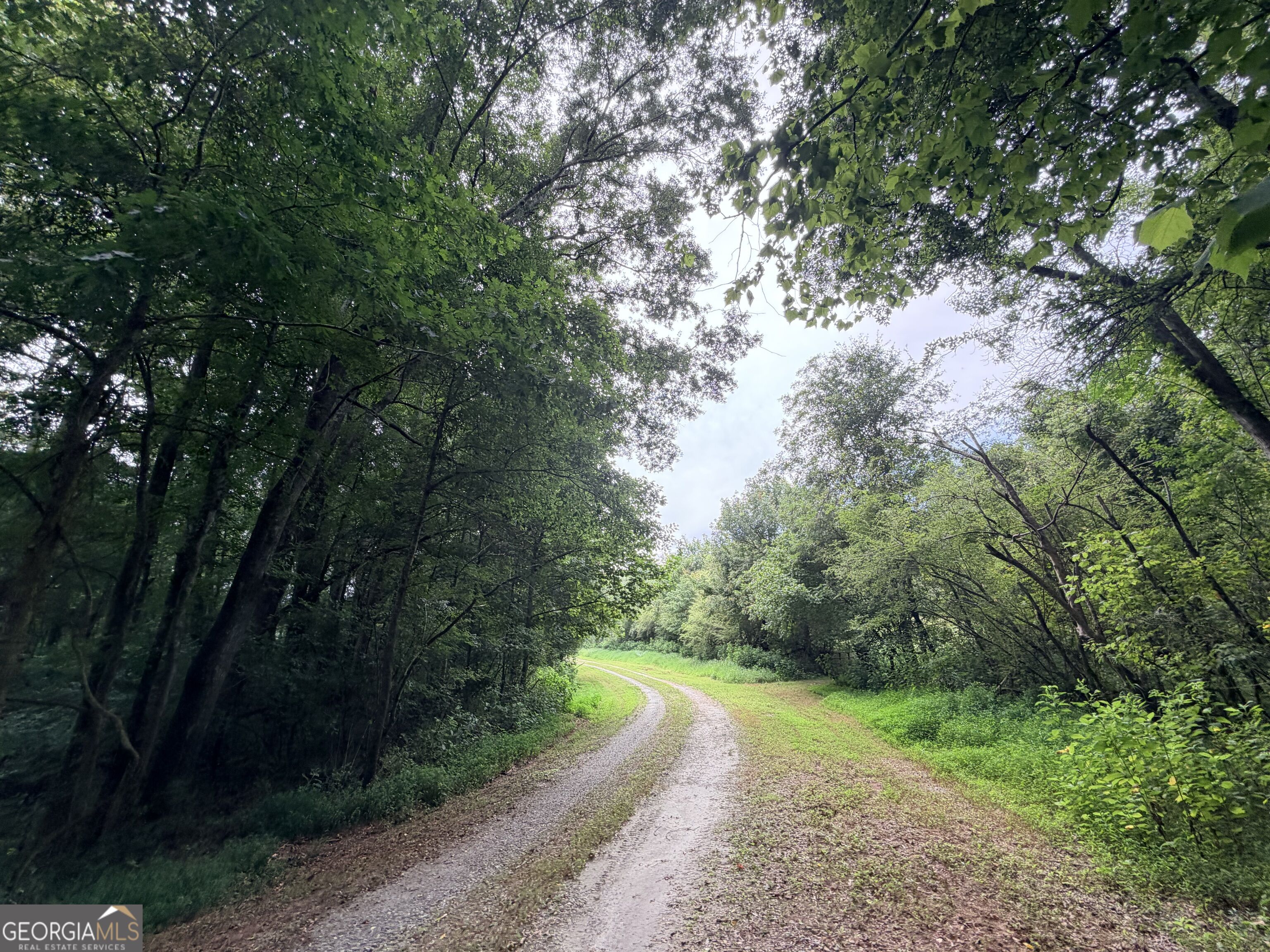 161 Mount Bethel Road