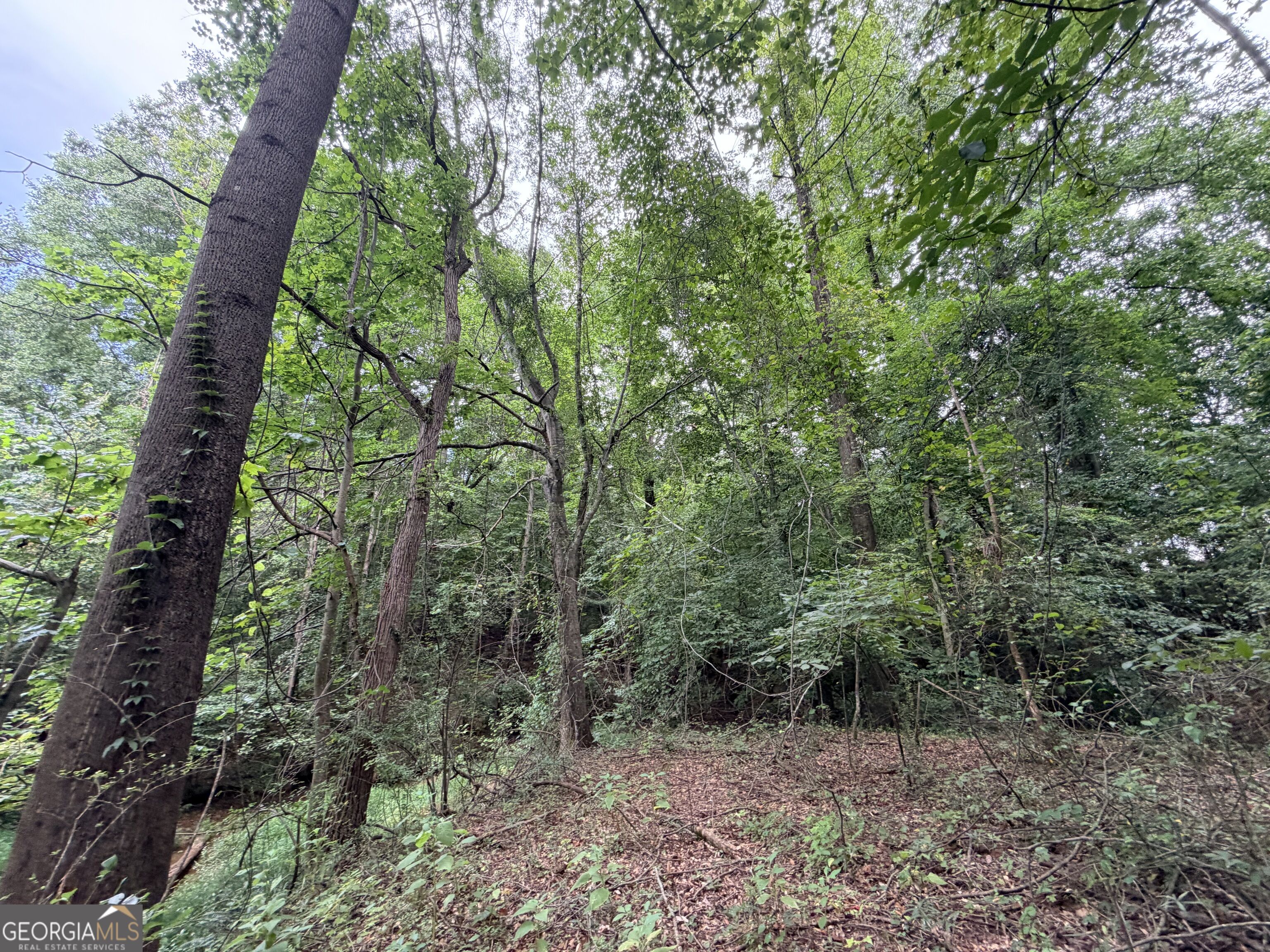 161 Mount Bethel Road
