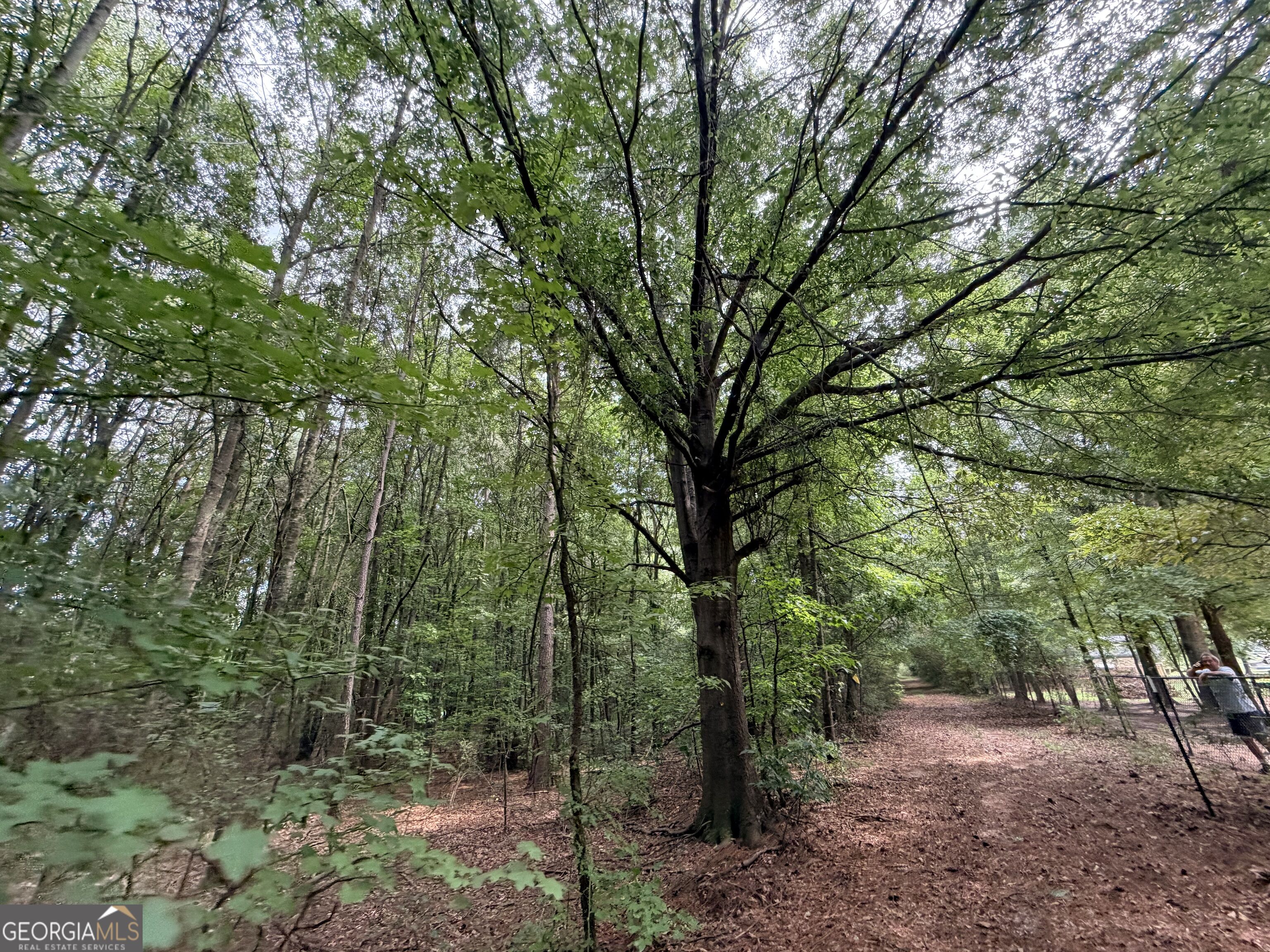 161 Mount Bethel Road