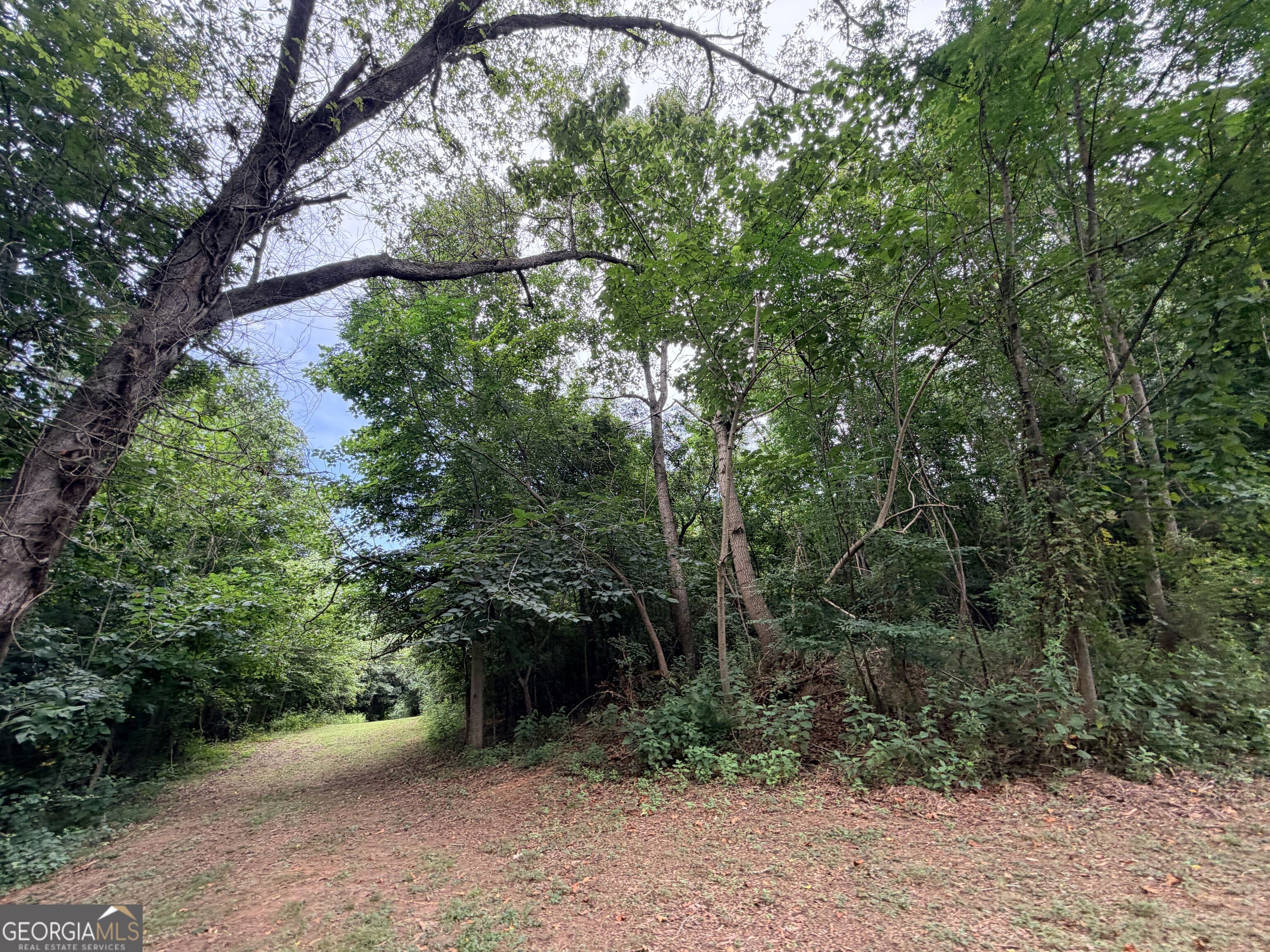 161 Mount Bethel Road