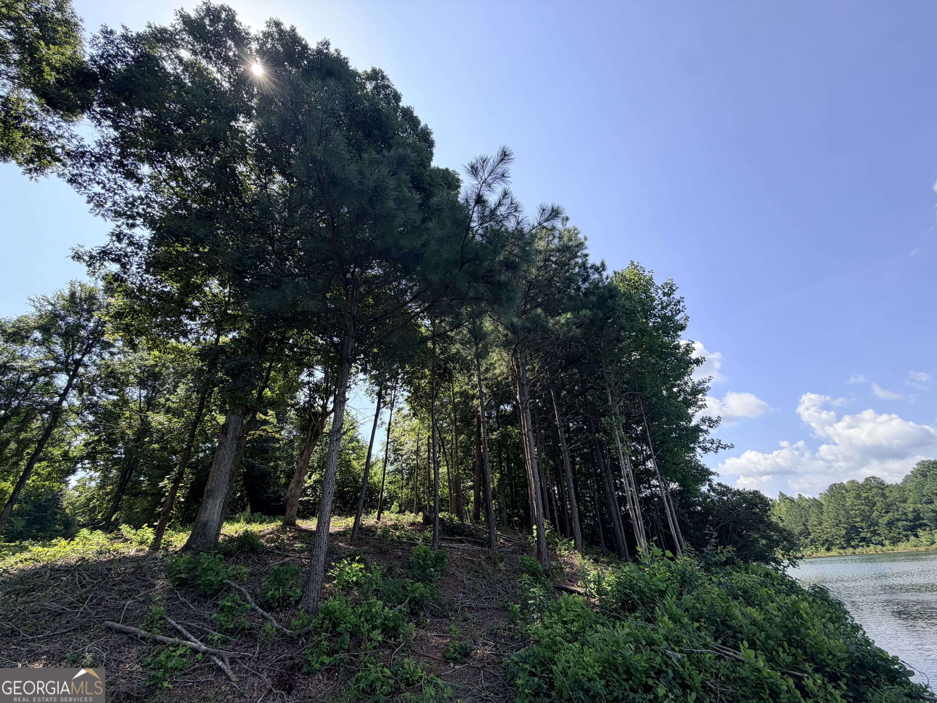 161 Mount Bethel Road