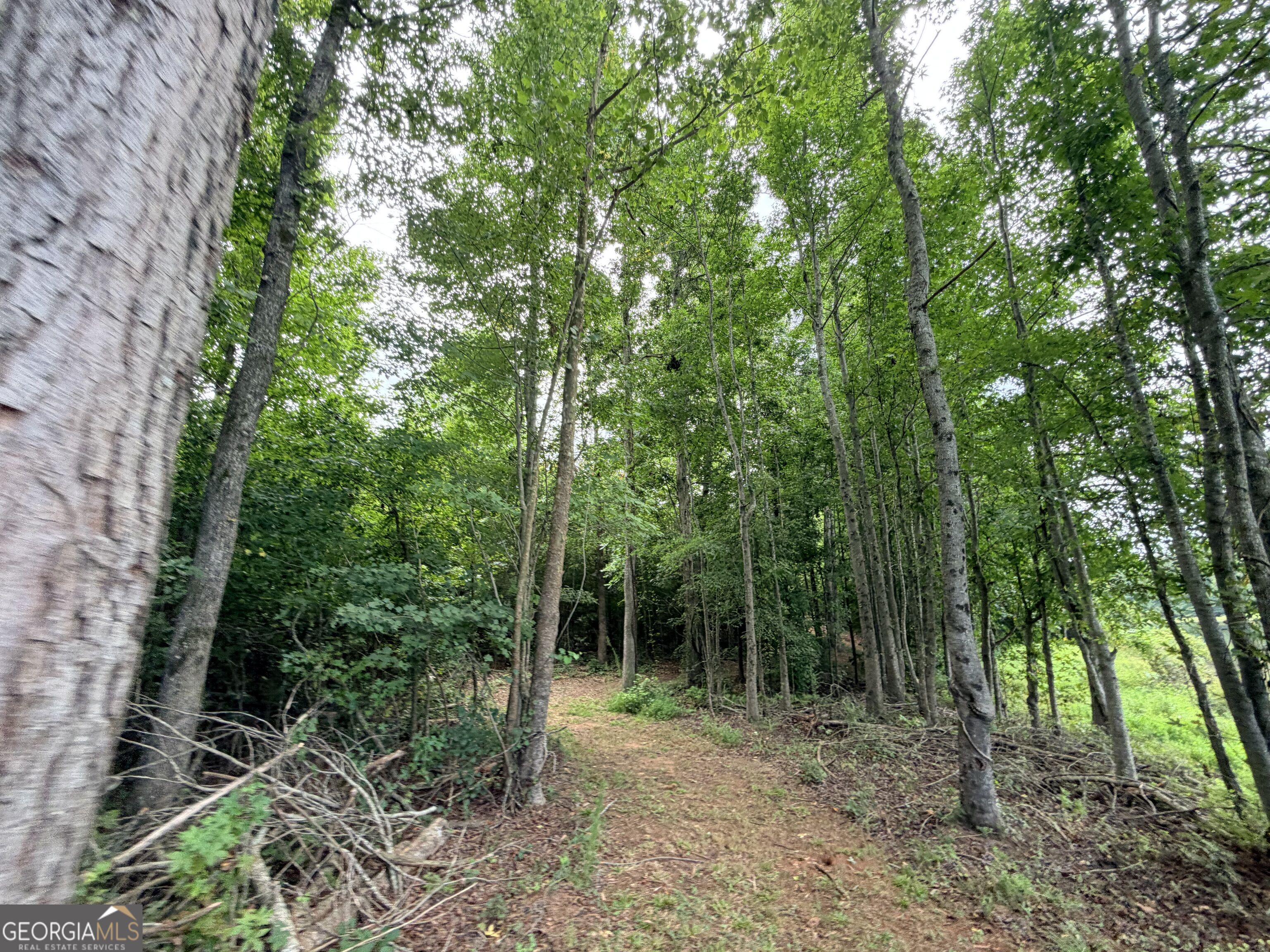 161 Mount Bethel Road