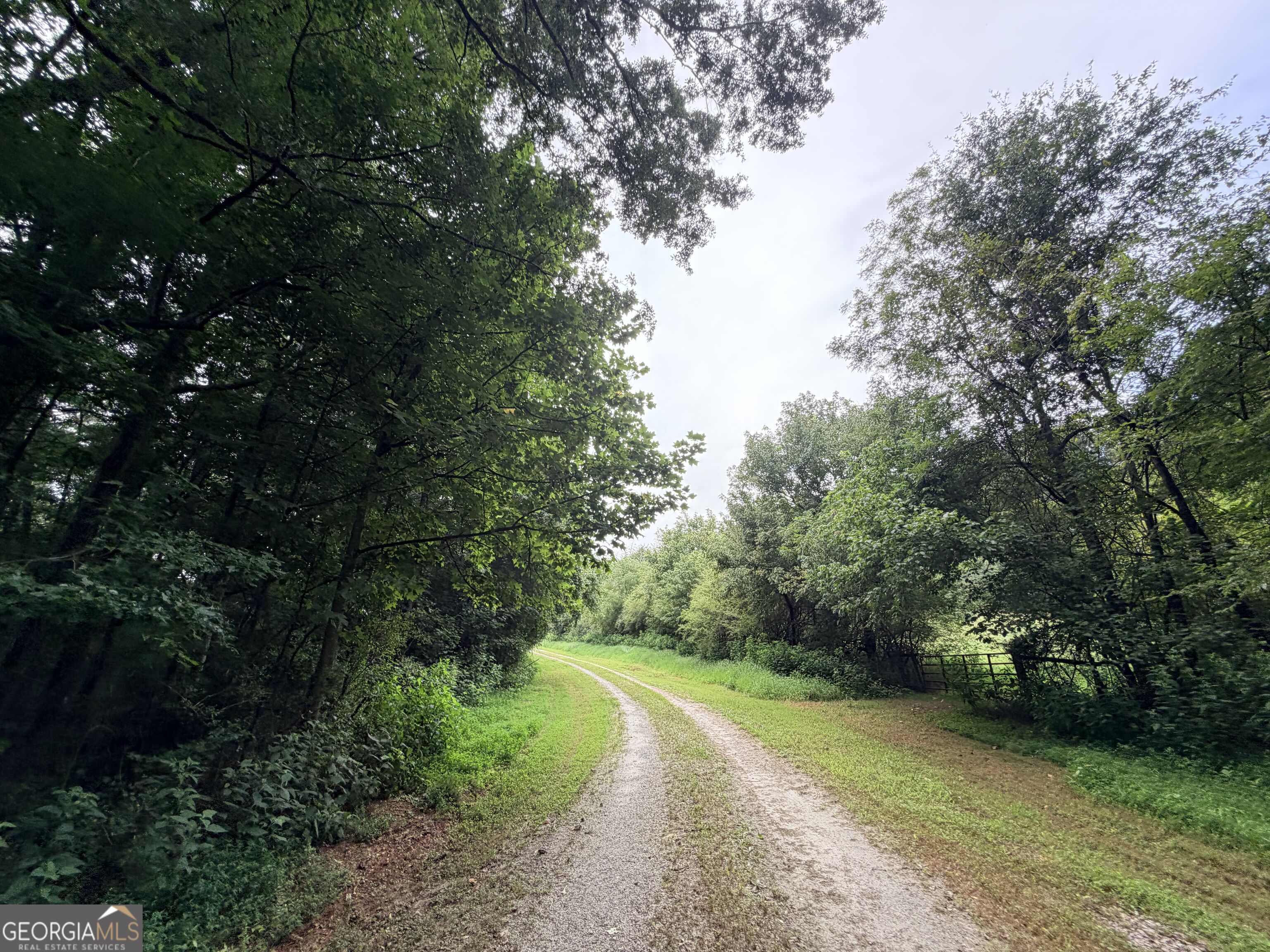 161 Mount Bethel Road